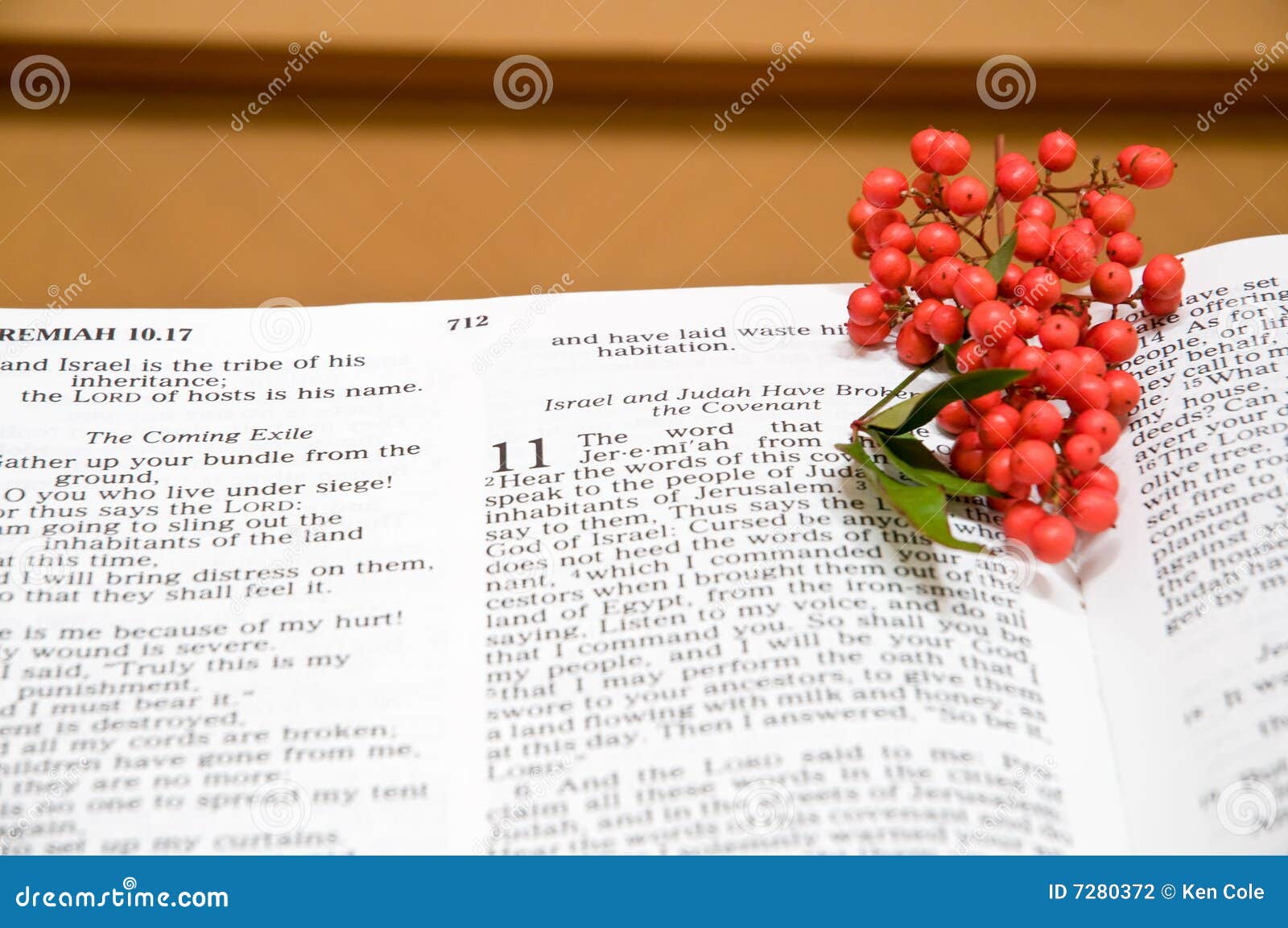 Bible and holly berries stock photo. Image of berries 7280372