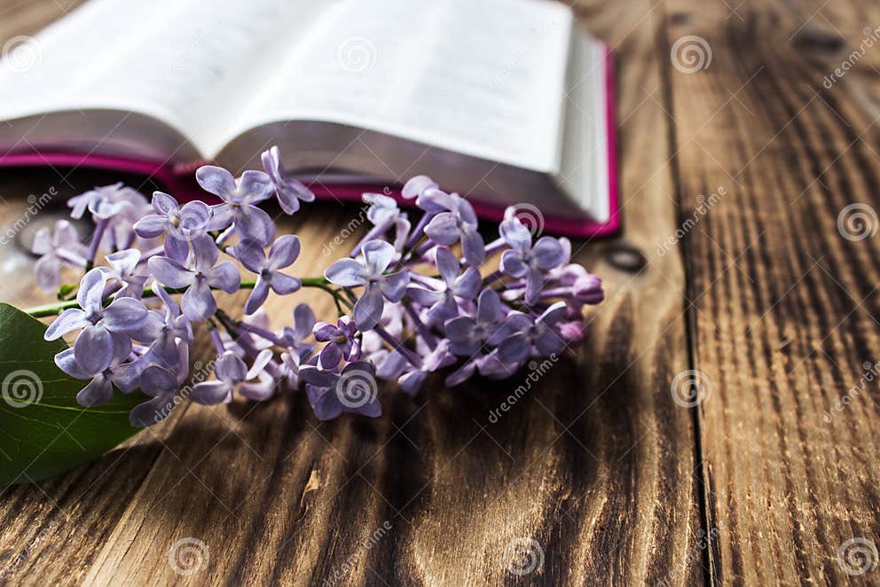 Bible and Lilac on Wooden Background Stock Image - Image of botany ...