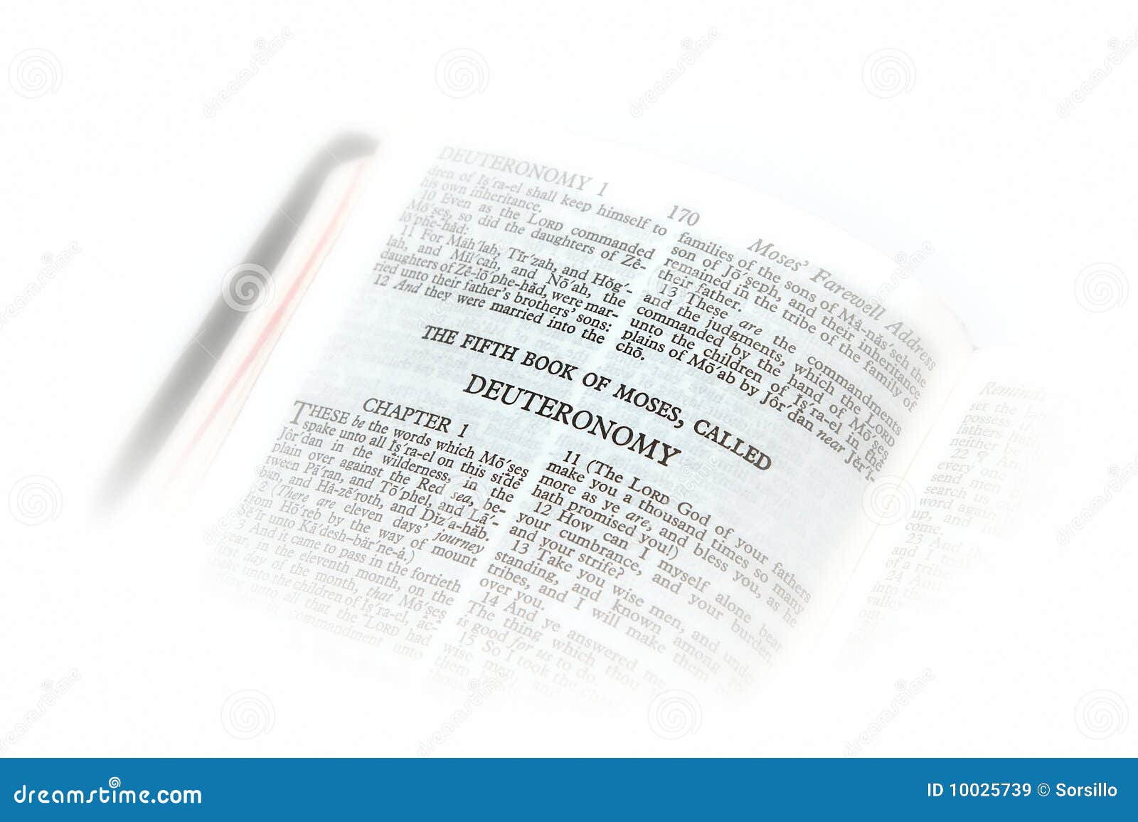 Bible Open To Deuteronomy Stock Image Image of moses