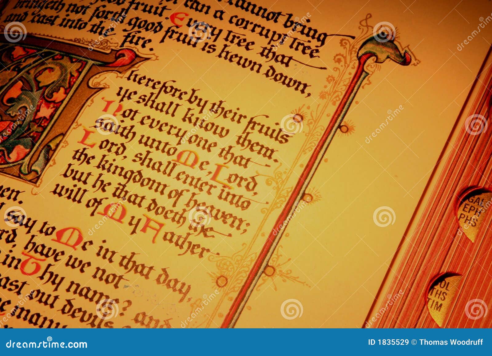 Bible pages 7 stock image. Image of devine, religion, edition - 1835529