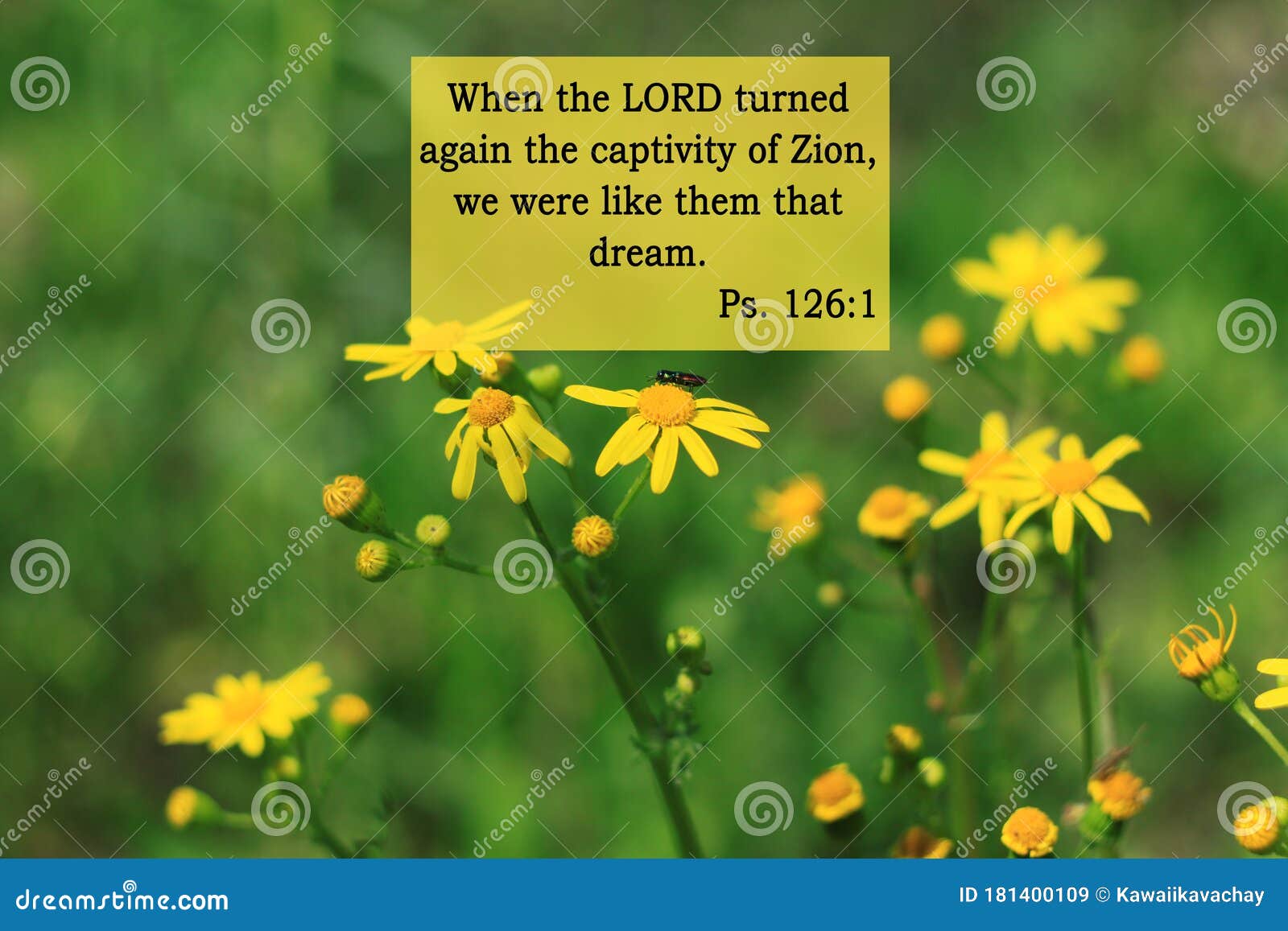 Bible Quotes on Yellow Flowers Background. Card with Text Sign for ...