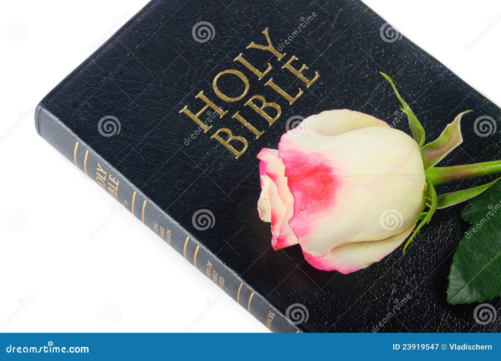 Bible and rose stock image. Image of leaf, christ, cross 23919547