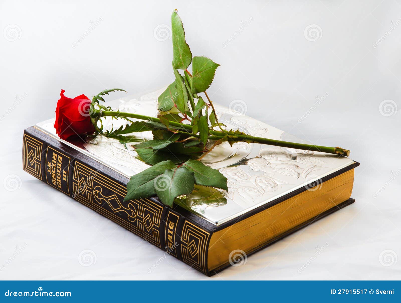The Bible And The Rose Royalty Free Stock Photography Image 27915517