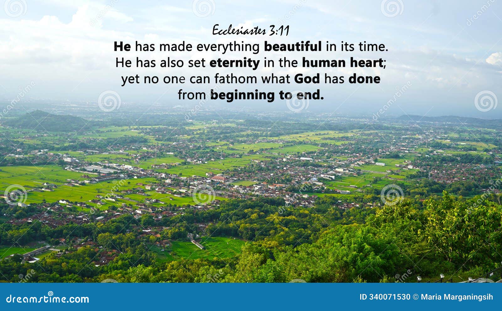 bible verse quote - he has made everything beautiful in its time. ecclesiastes 3:11