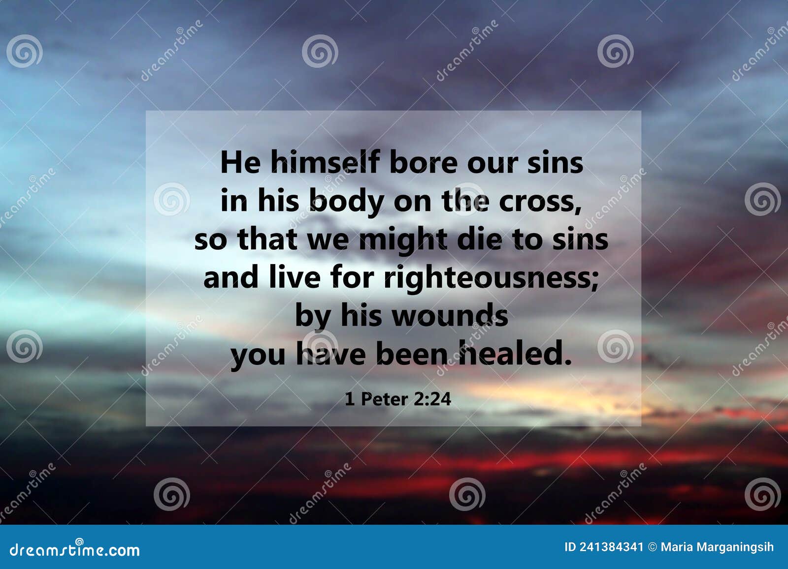 bible verse quote - him himself bore our sins in his body on the cross, so that we might die to sins and live for righteousness