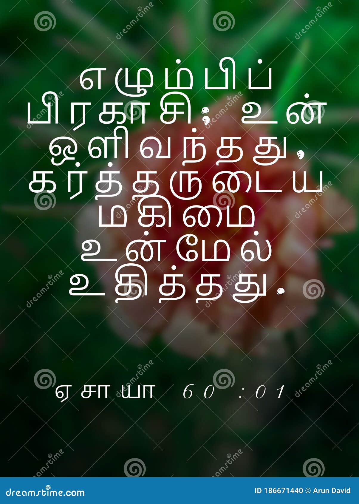 today message from bible in tamil today message from bible in tamil