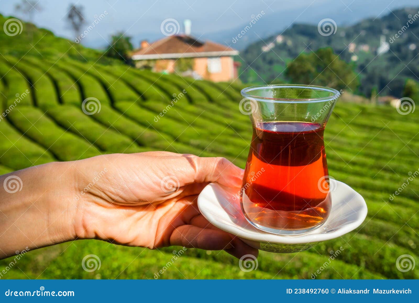 Bicchiere Di Tè Turco Tradizionale Con Belle Piantagioni Di Tè Sullo Sfondo  Di Tacchino. Fotografia Stock - Immagine di femmina, fresco: 238492760