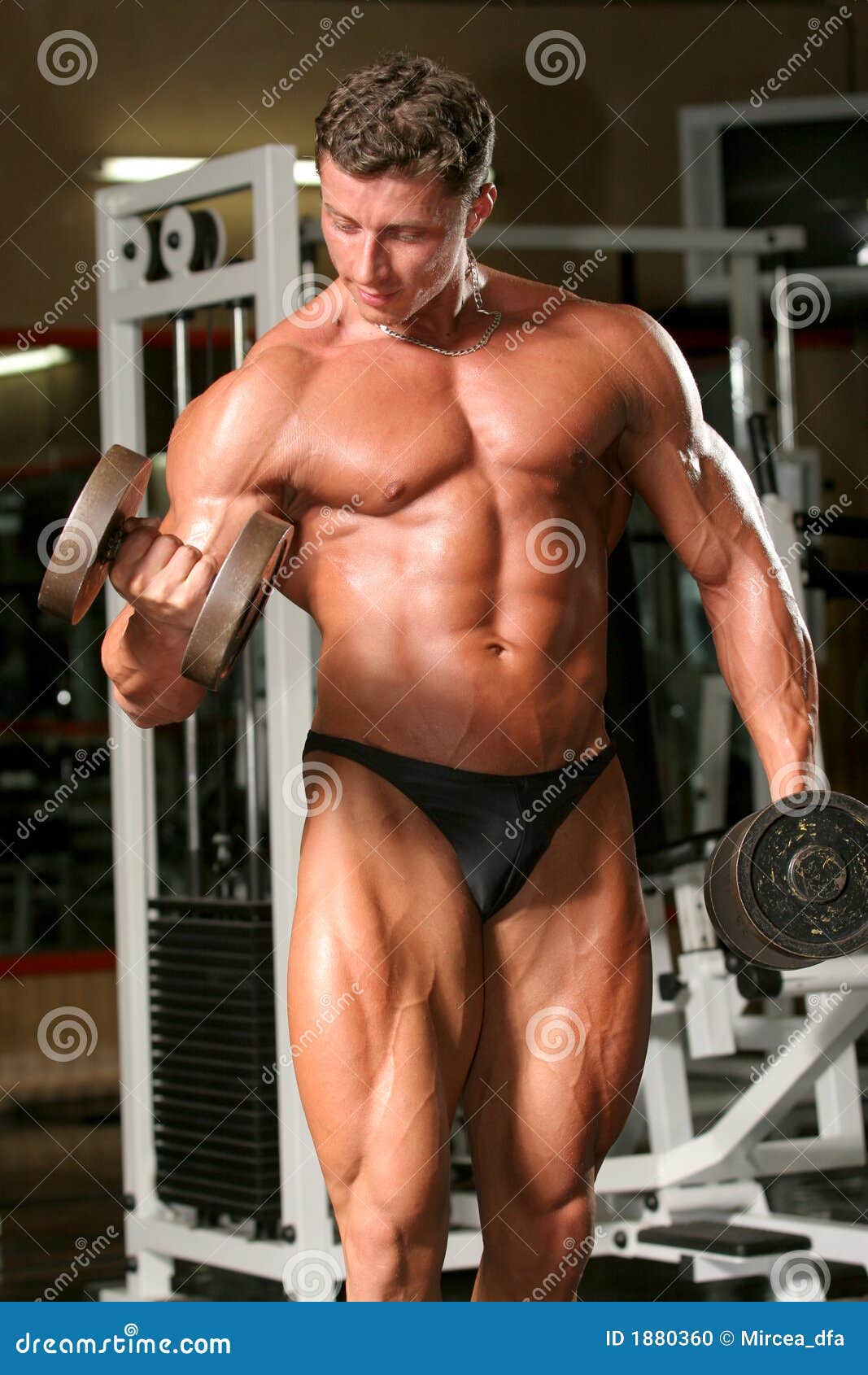 biceps, dumbell, alternate, cu