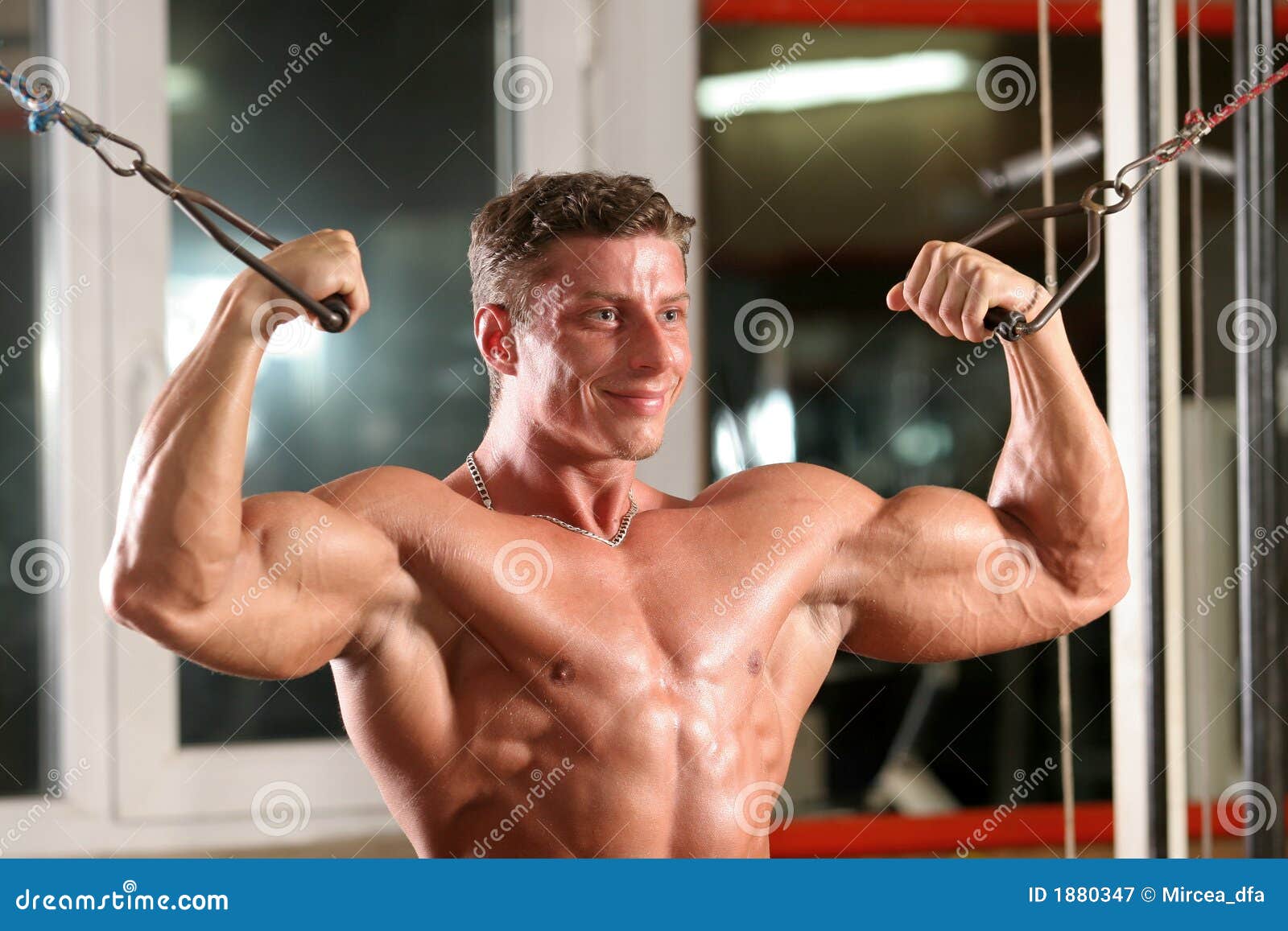 biceps - overhead cable curl