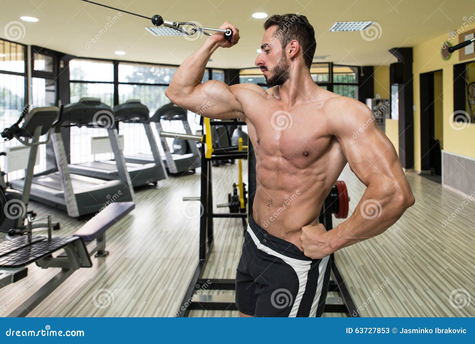 Biceps Workout Cable Crossover Stock Image Image of model, biceps