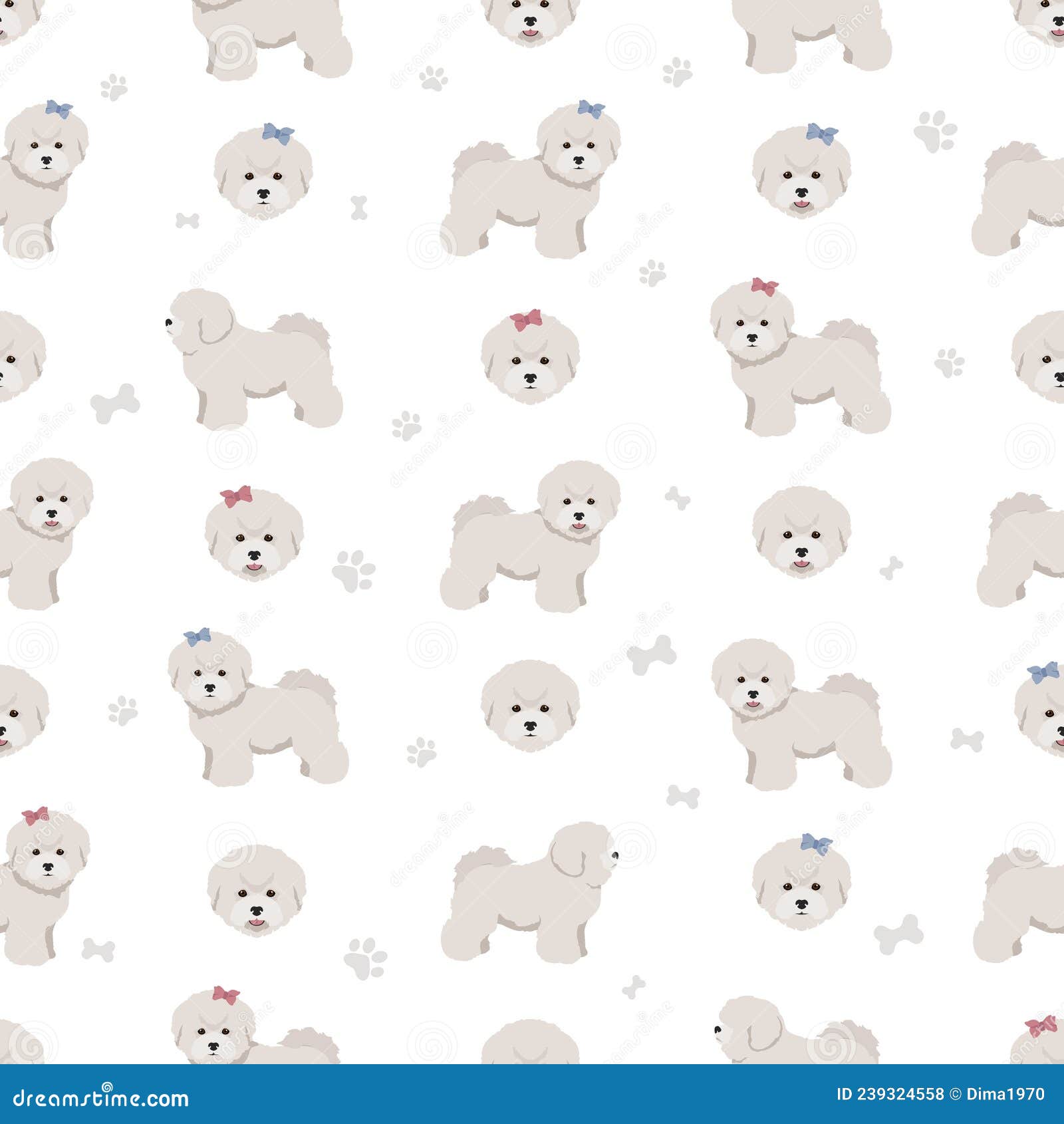 Bichon Frise Teacup Seamless Pattern. Different Coat Colors and Poses