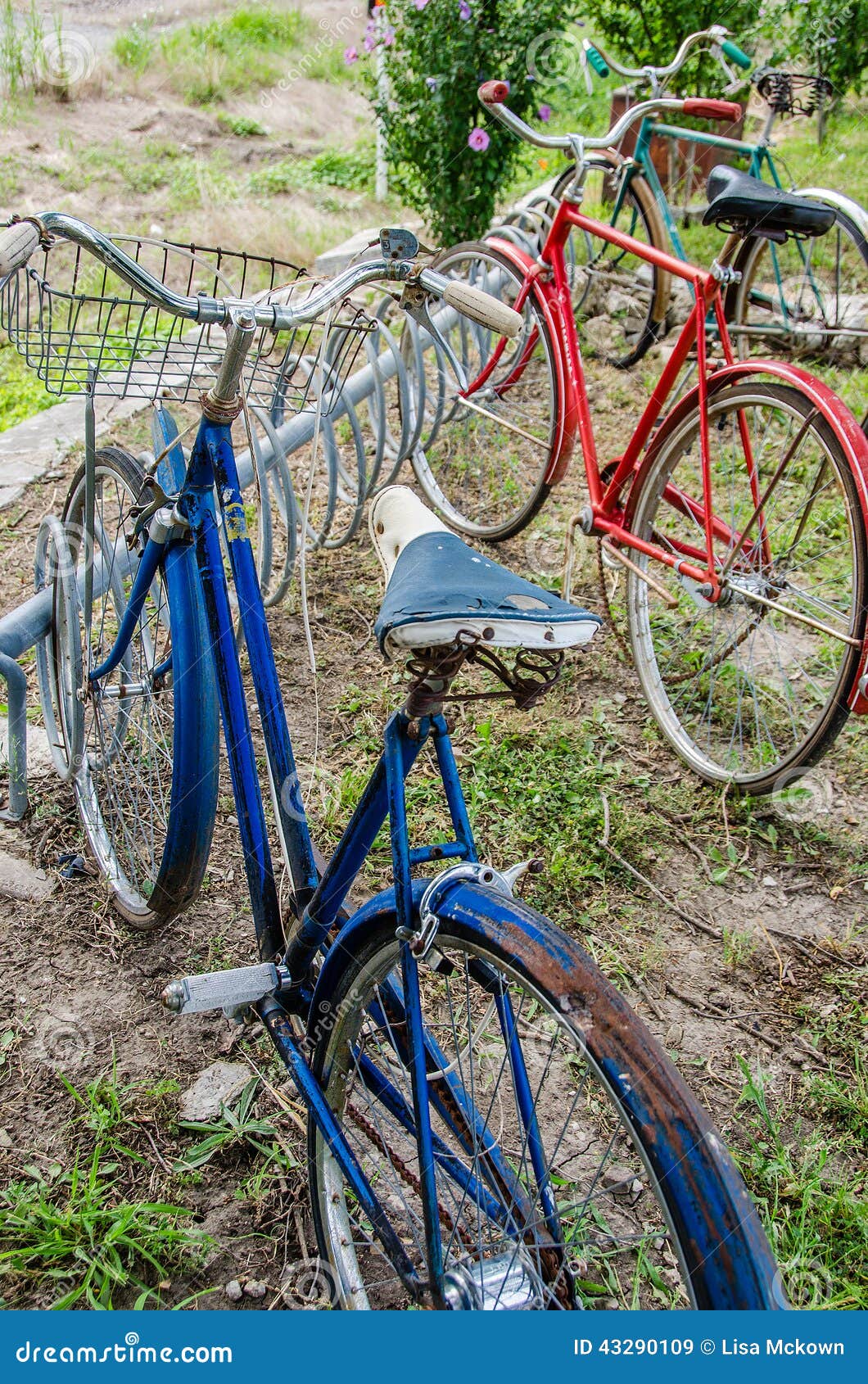 Bicicletas Viejas Del Vintage Imagen de archivo - Imagen de aptitud, salud: