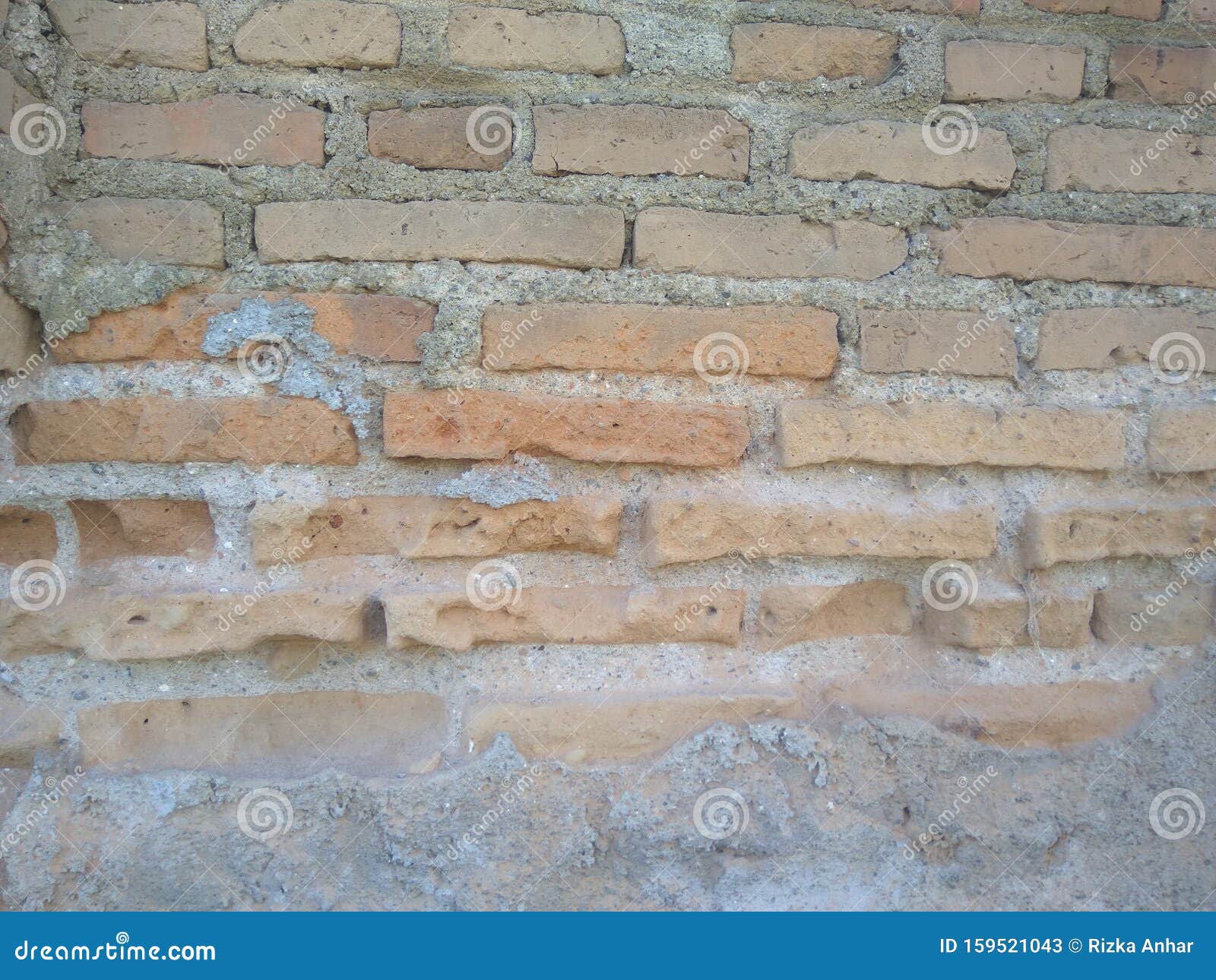 bricks in walls with holes because they were pecked by birds