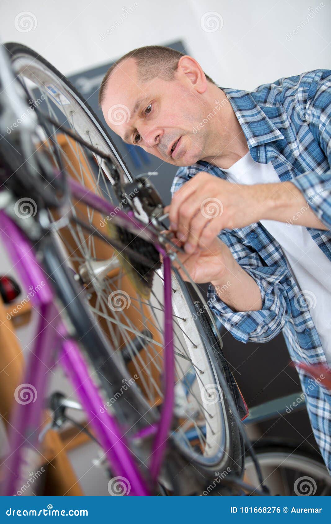 Bicycle Assembler Working on Bike Stock Photo Image of tighten