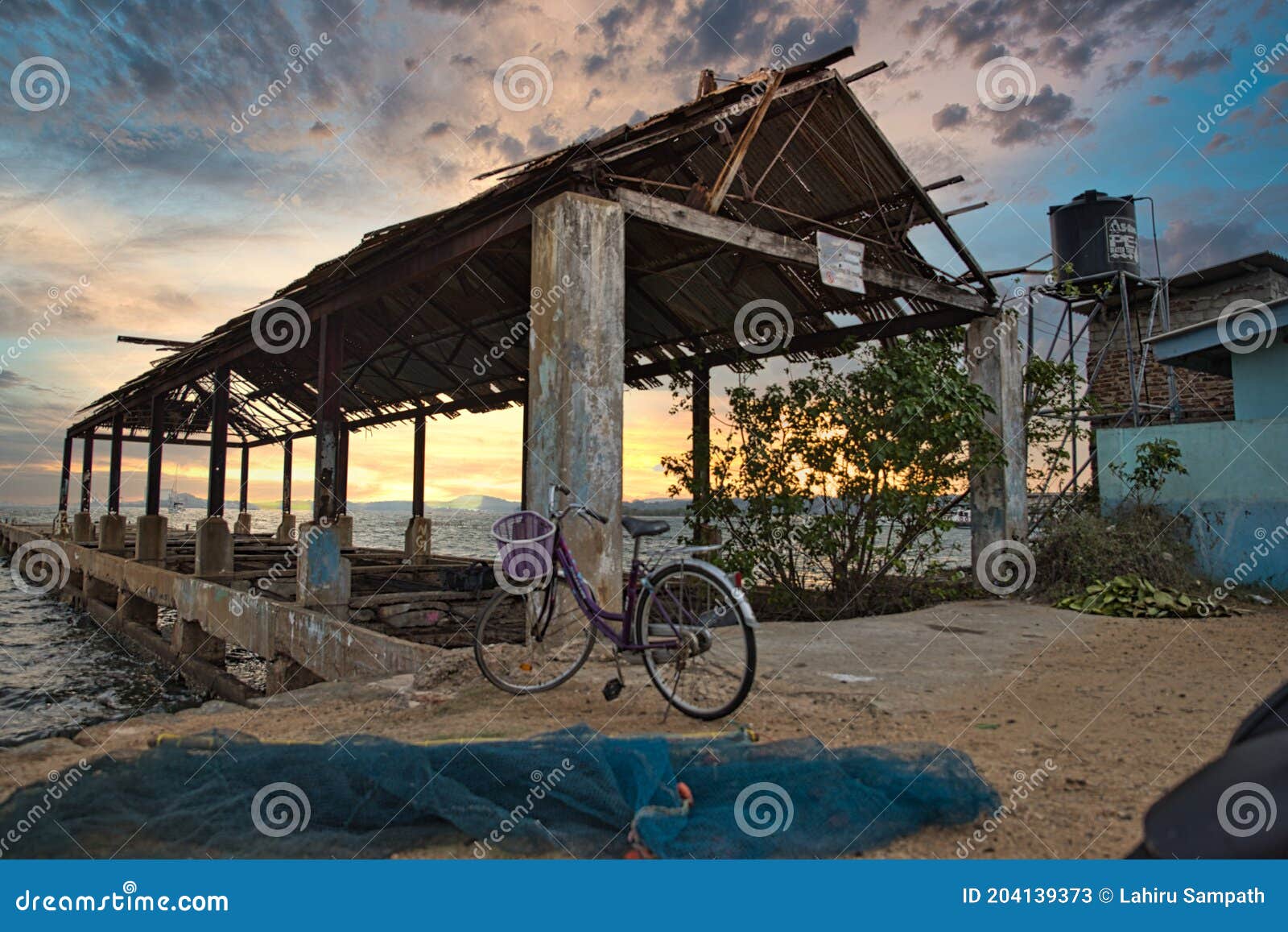 bicycle on the beach near  trees and ocean at sunset.