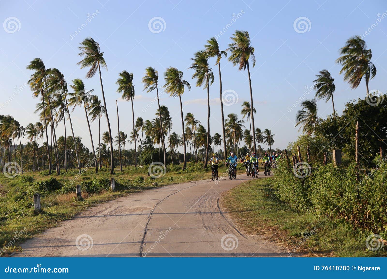 Bicycle Biking At Koh Sukorn Palian Trang Thailand Editorial Image Image Of Coconut Bicycle 76410780