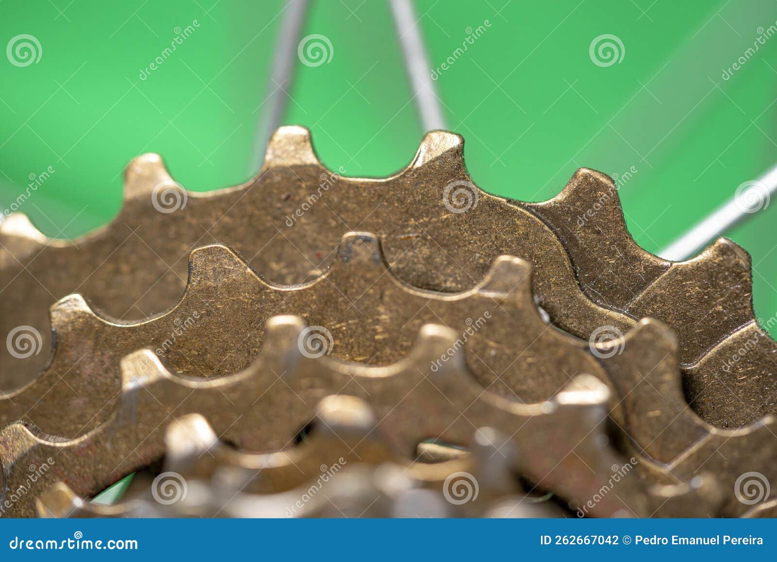 Bicycle Cassette with Sprocket Teeth with Differentiated Focus Under