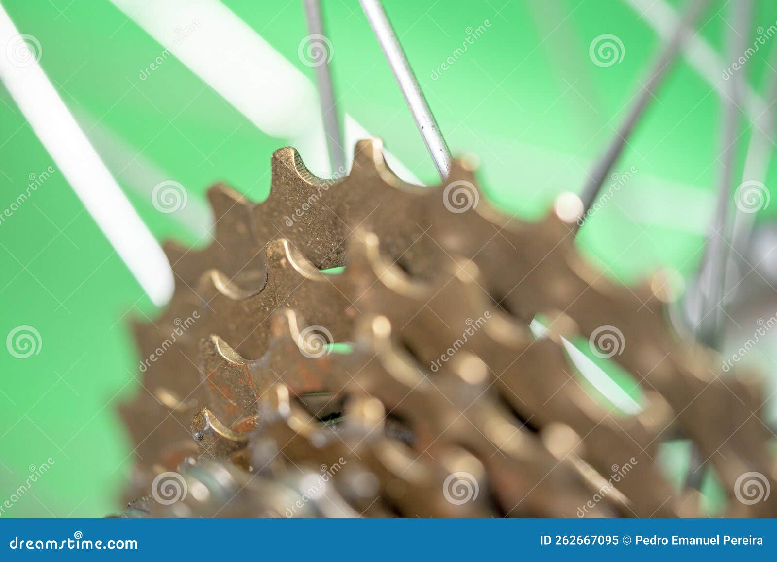 Bicycle Cassette with Sprocket Teeth with Differentiated Focus Under