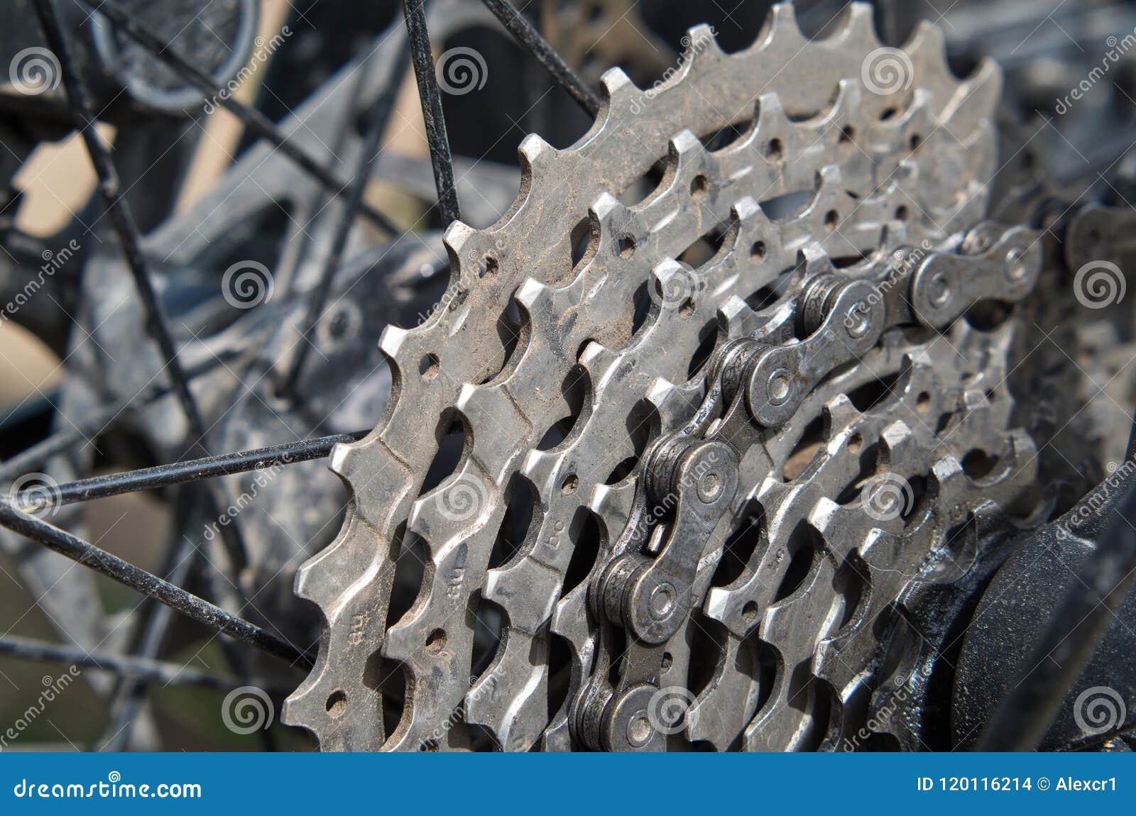 Bicycle Gear Shifting and Chain. Stock Photo Image of gears, metal