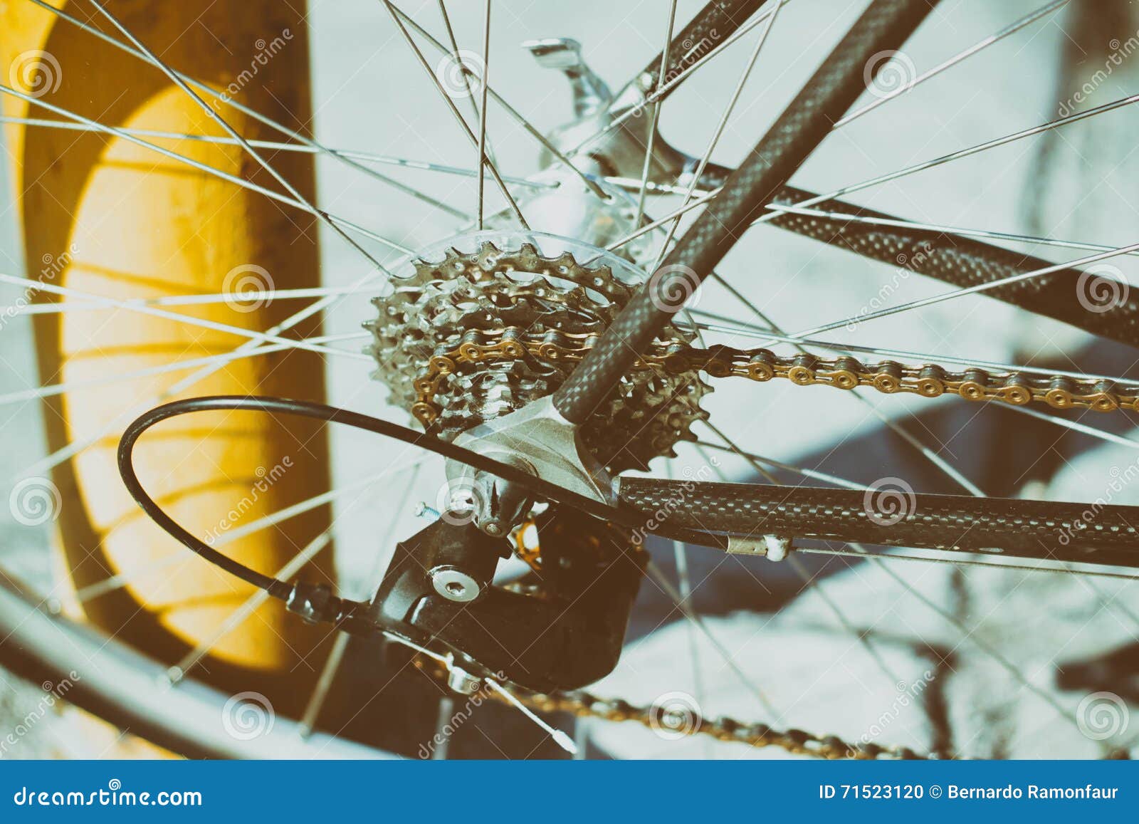 Bicycle gears and chain stock photo. Image of metal, transport 71523120