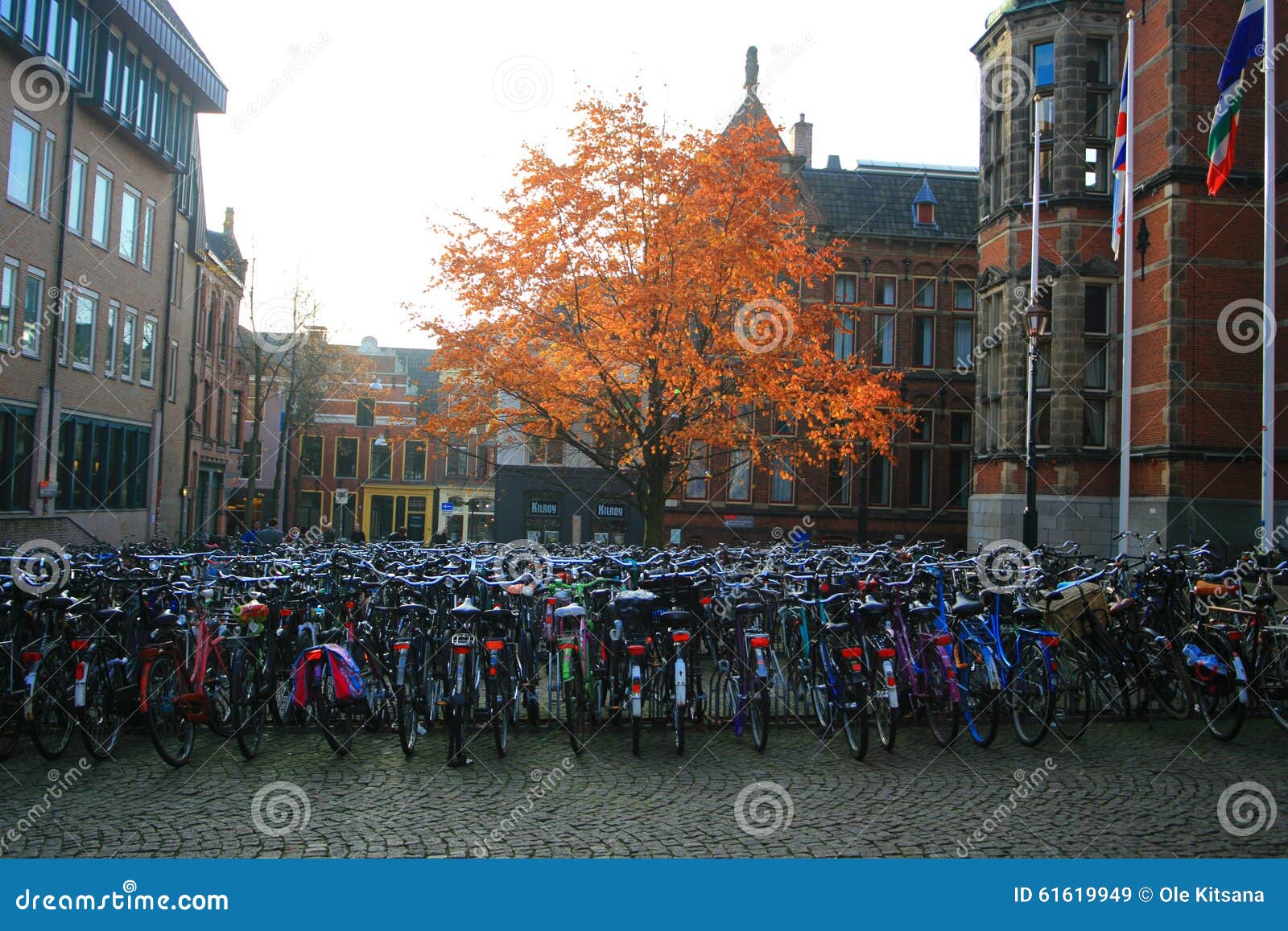 group of bicycles