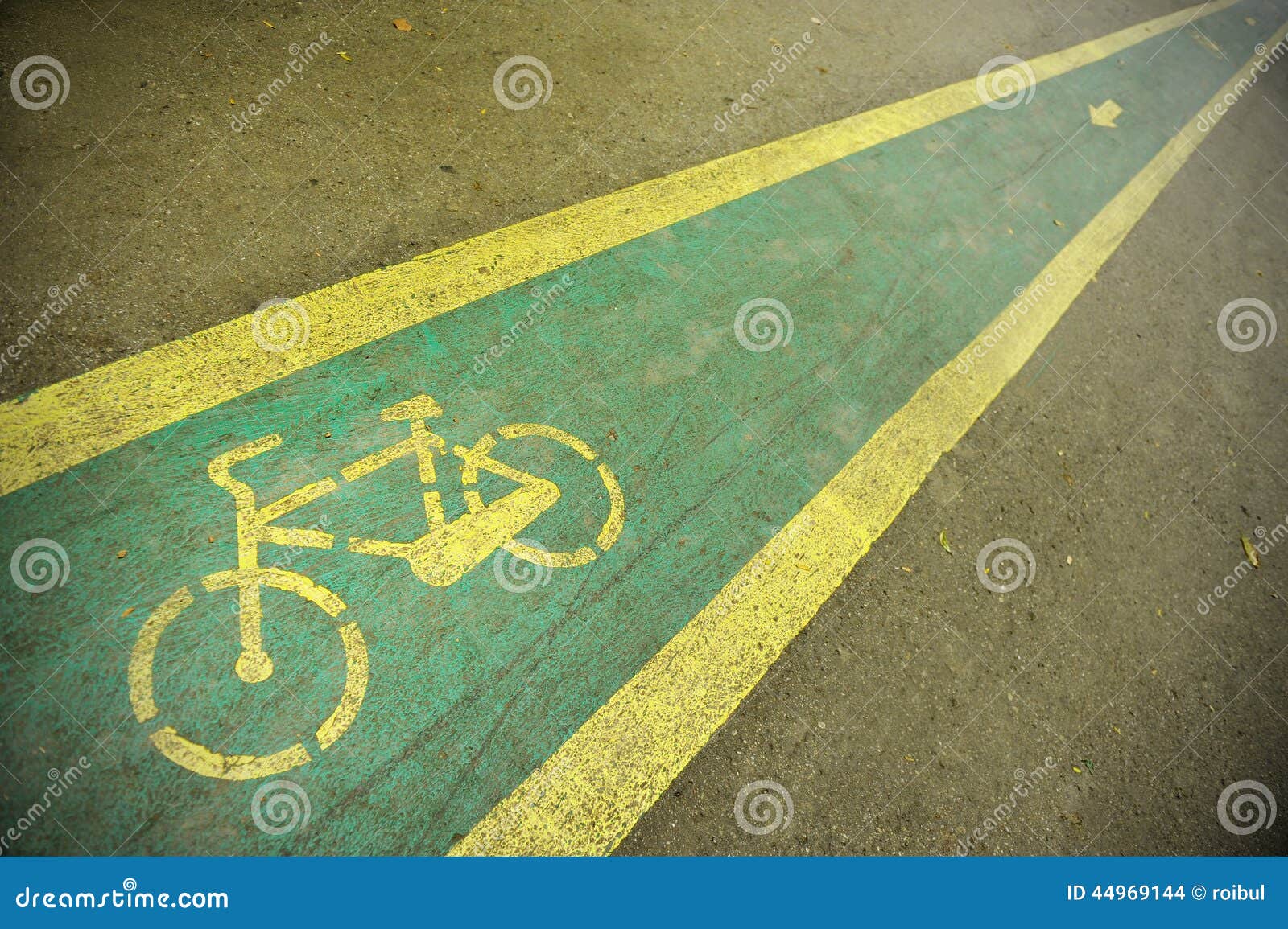 Bicycle lane stock photo. Image of ecological, road, sport 44969144