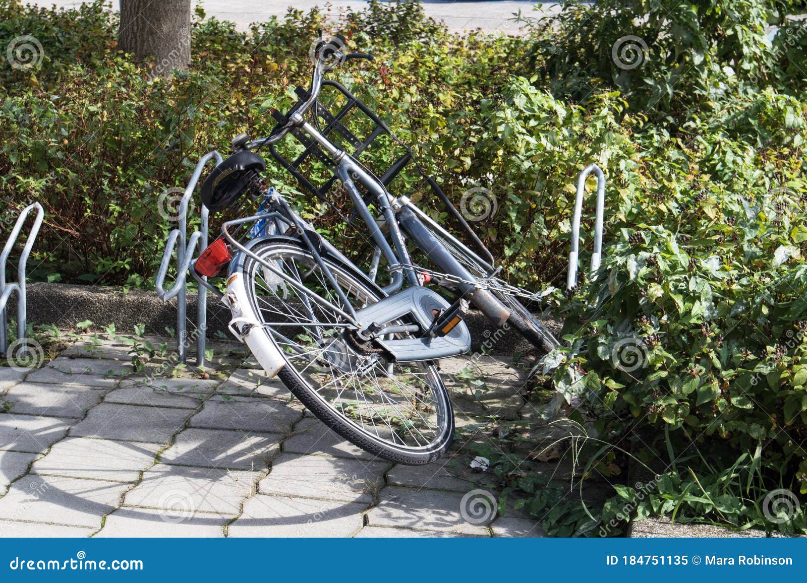 dutch bike rack