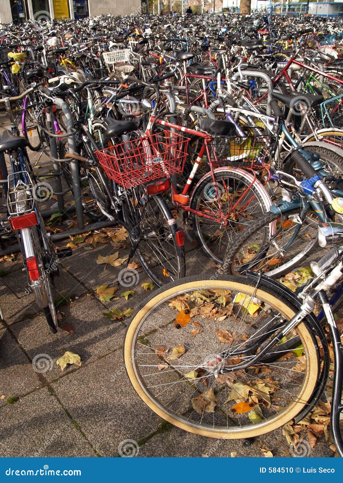 Bicycle lot stock photo. Image of form, stand, pavement 584510