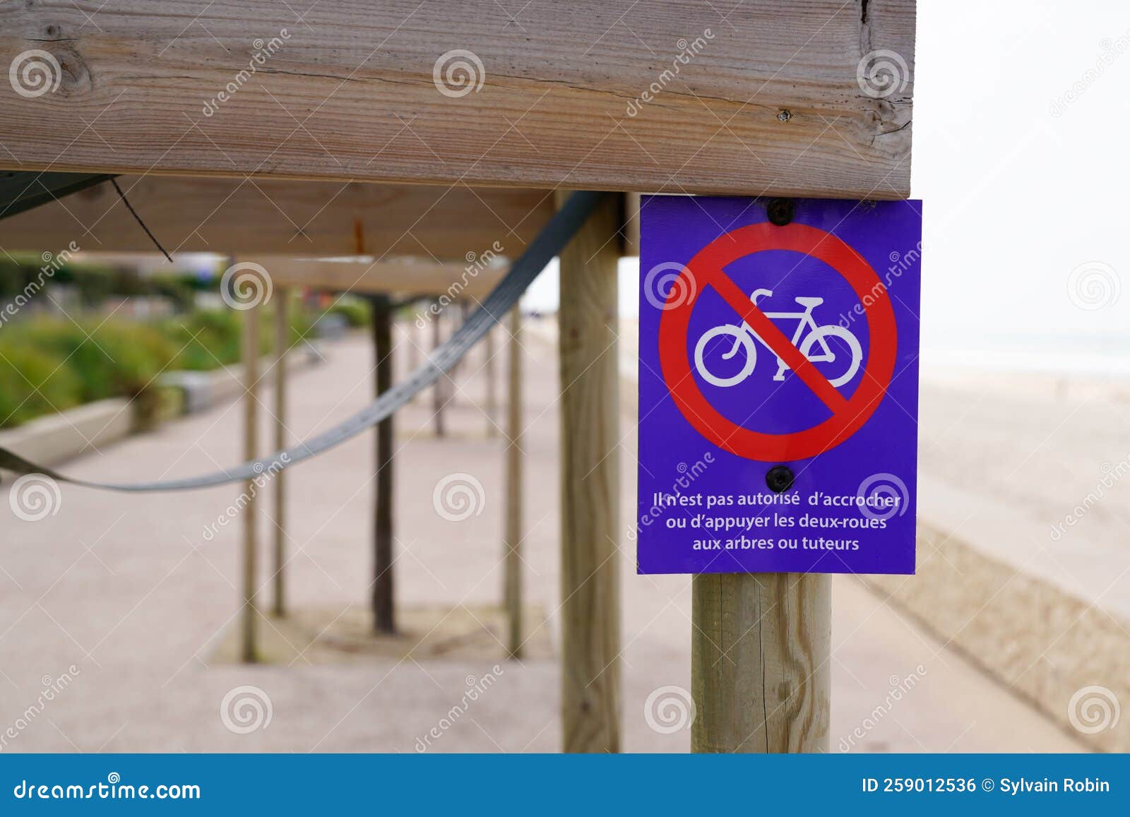 bicycle no parking bike means in french ne pas accrocher velos aux tuteurs et arbres text and sign do not park bicycle in trees