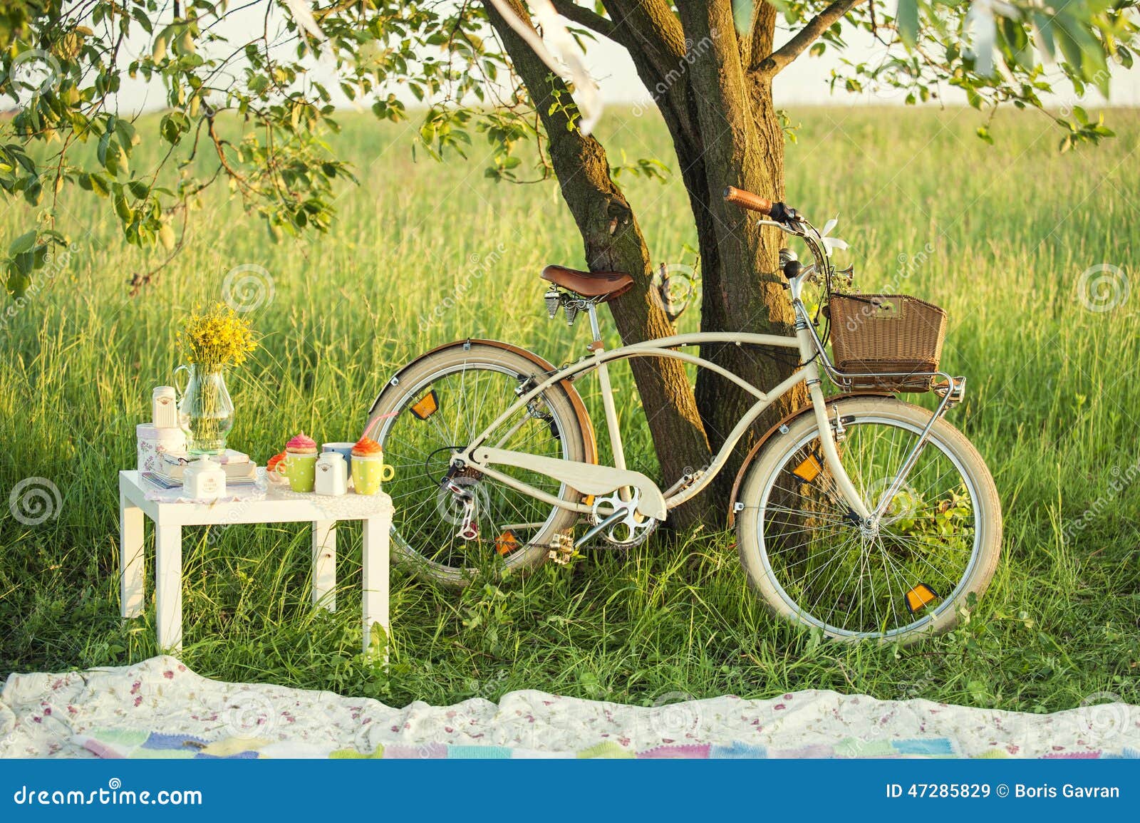 Bicycle with Picnic Set in Summer Day Stock Image Image of romantic