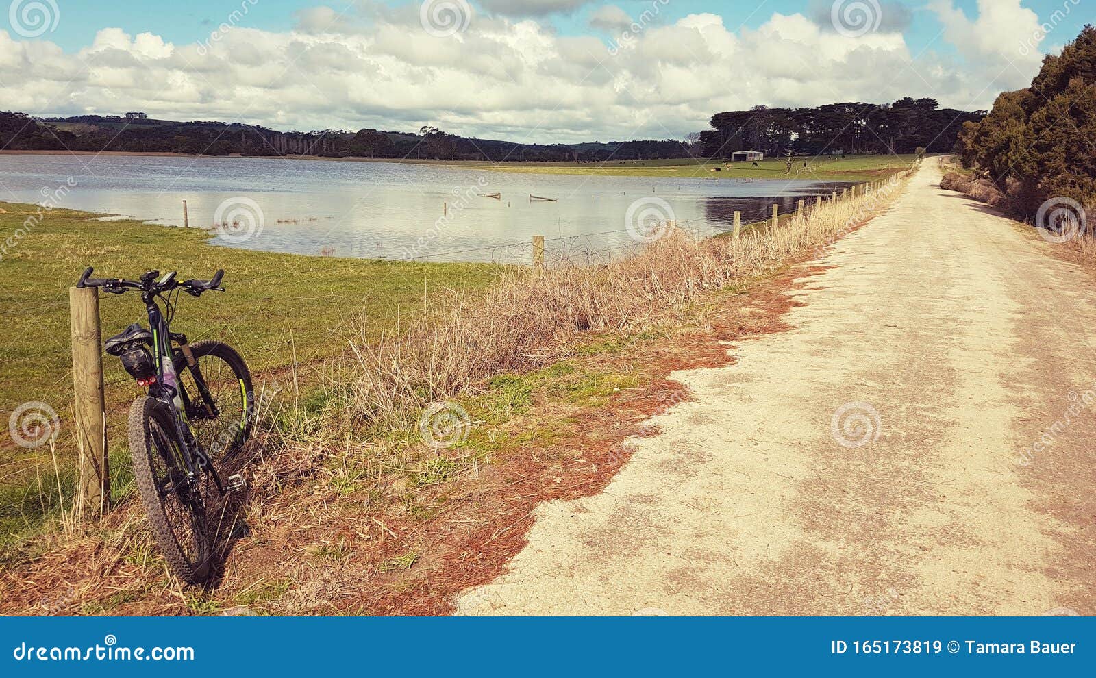 bicycle on rail trail in south gippsland