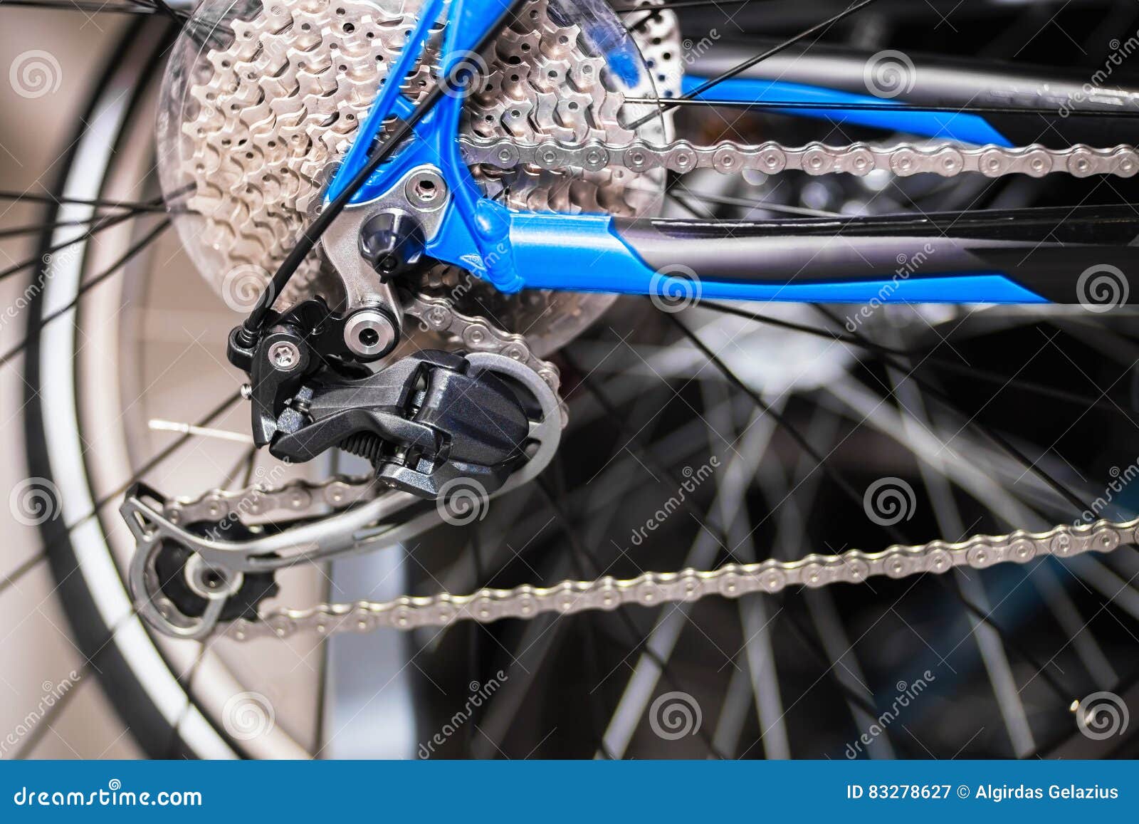 gear case of bicycle