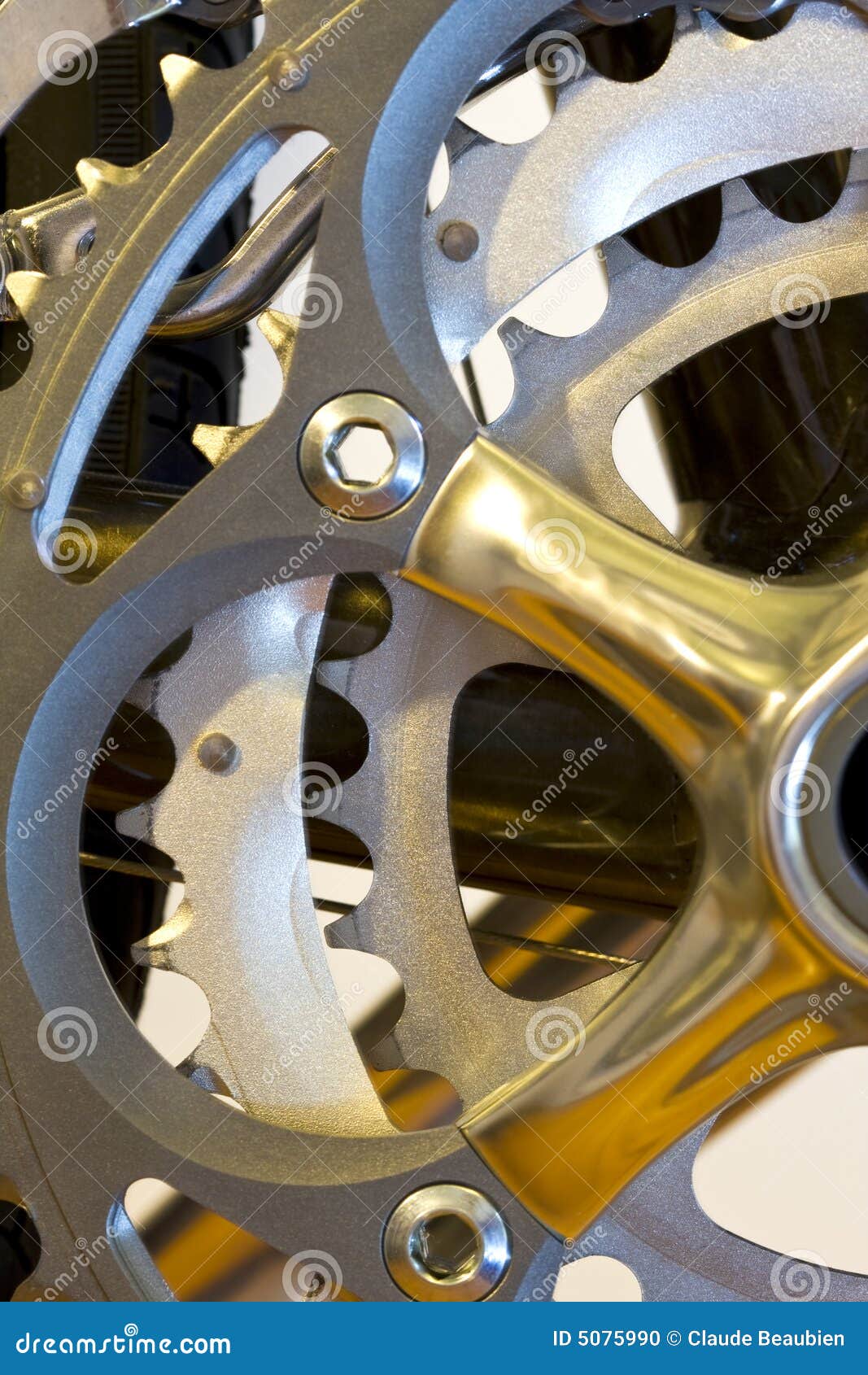 bicycle rear gear