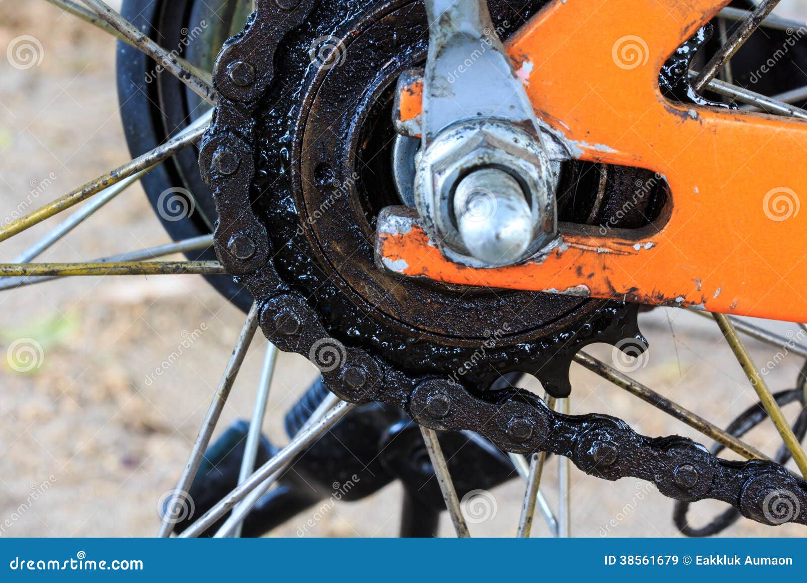 Bicycle Rear Sprockets with Chain on, Close Up. Stock Image Image of