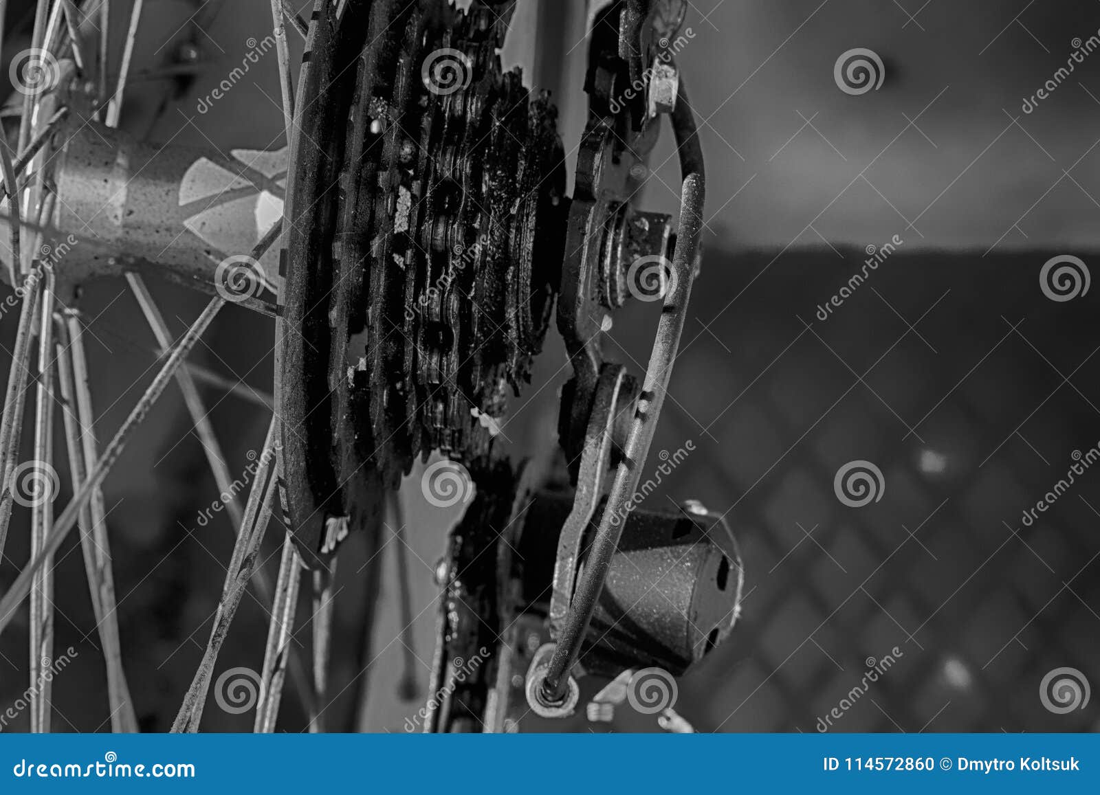 Bicycle Rear Wheel with Detail of the Gear System Stock Photo Image