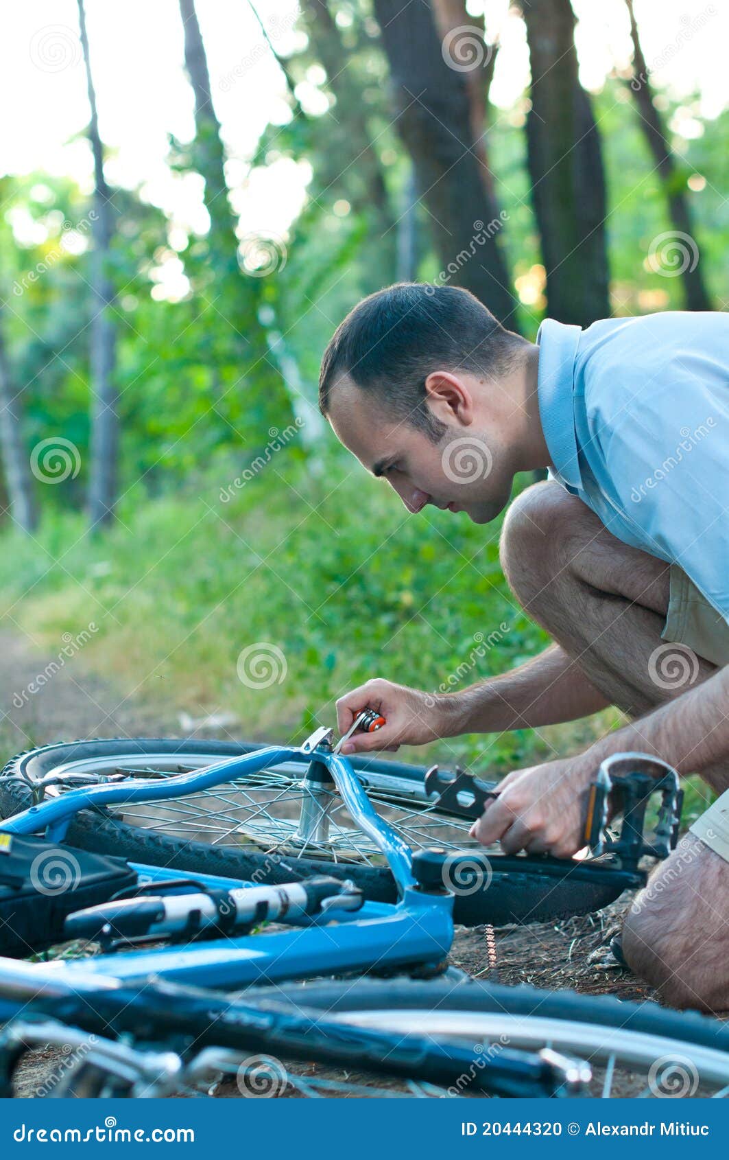 Bicycle Repair in the Woods Stock Photo Image of broken, tool 20444320
