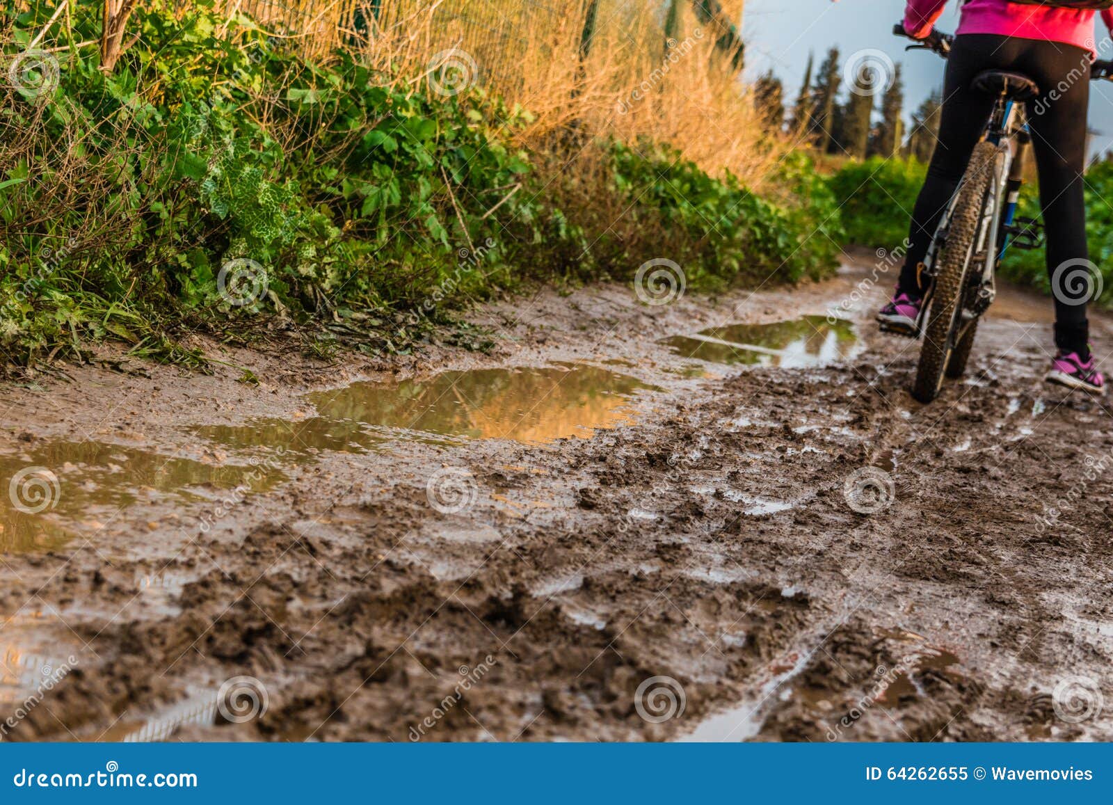 Bicycle Ride through Muddy Dirt Road Stock Image Image of activity