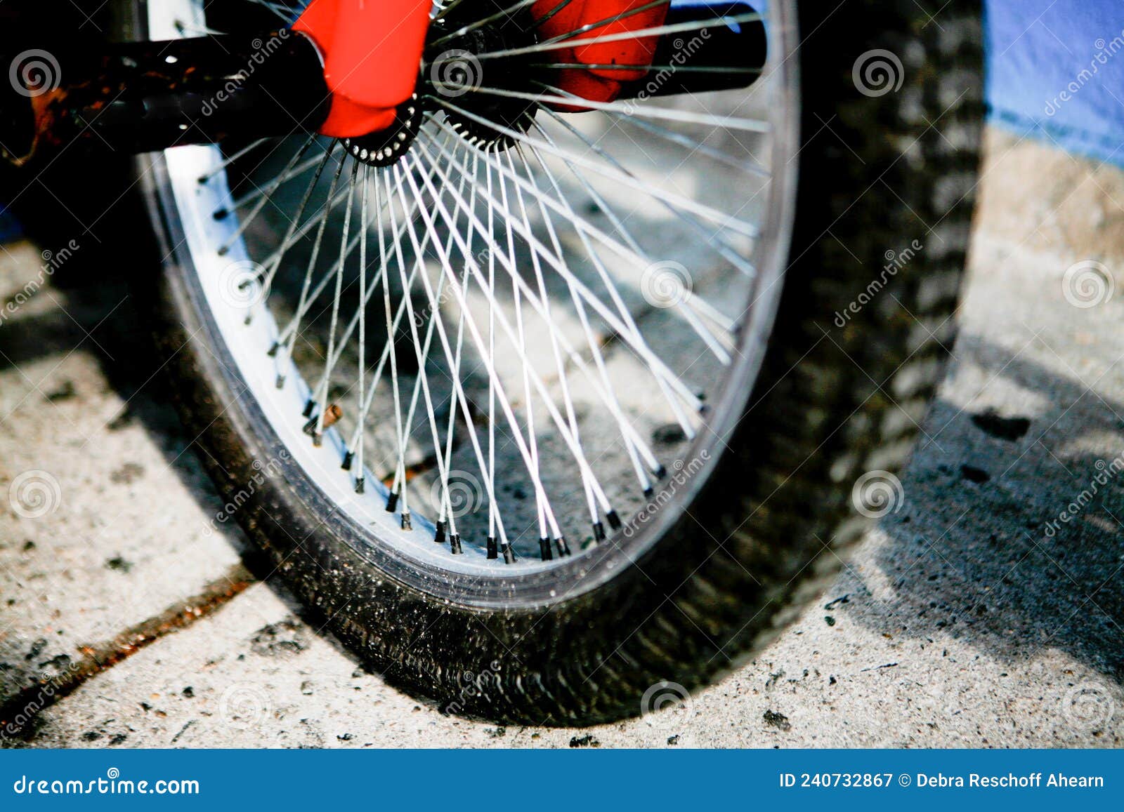 Bicycle Spokes on Bicycle Wheel Stock Image Image of activity, icon