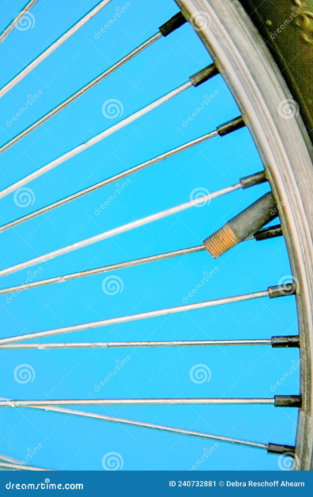 Bicycle Spokes on Bicycle Wheel Stock Image Image of iron, brakes