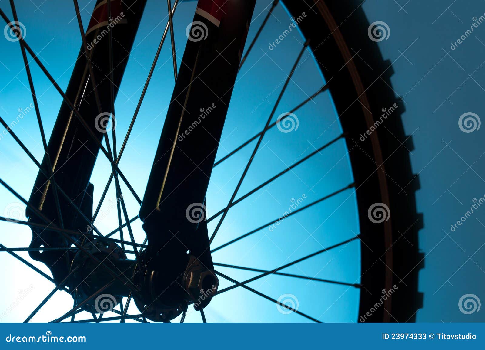 bicycle tire and spoke wheel