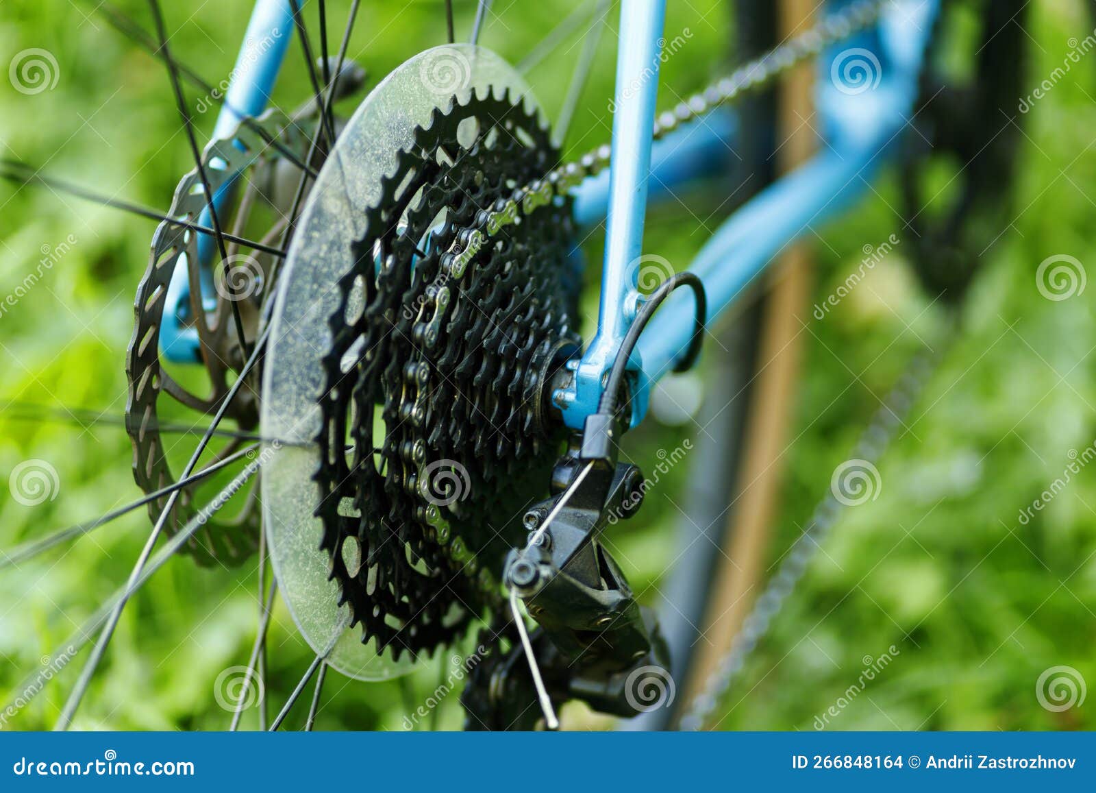 Bicycle Transmission Closeup. Chain Cassette Service Stock Photo