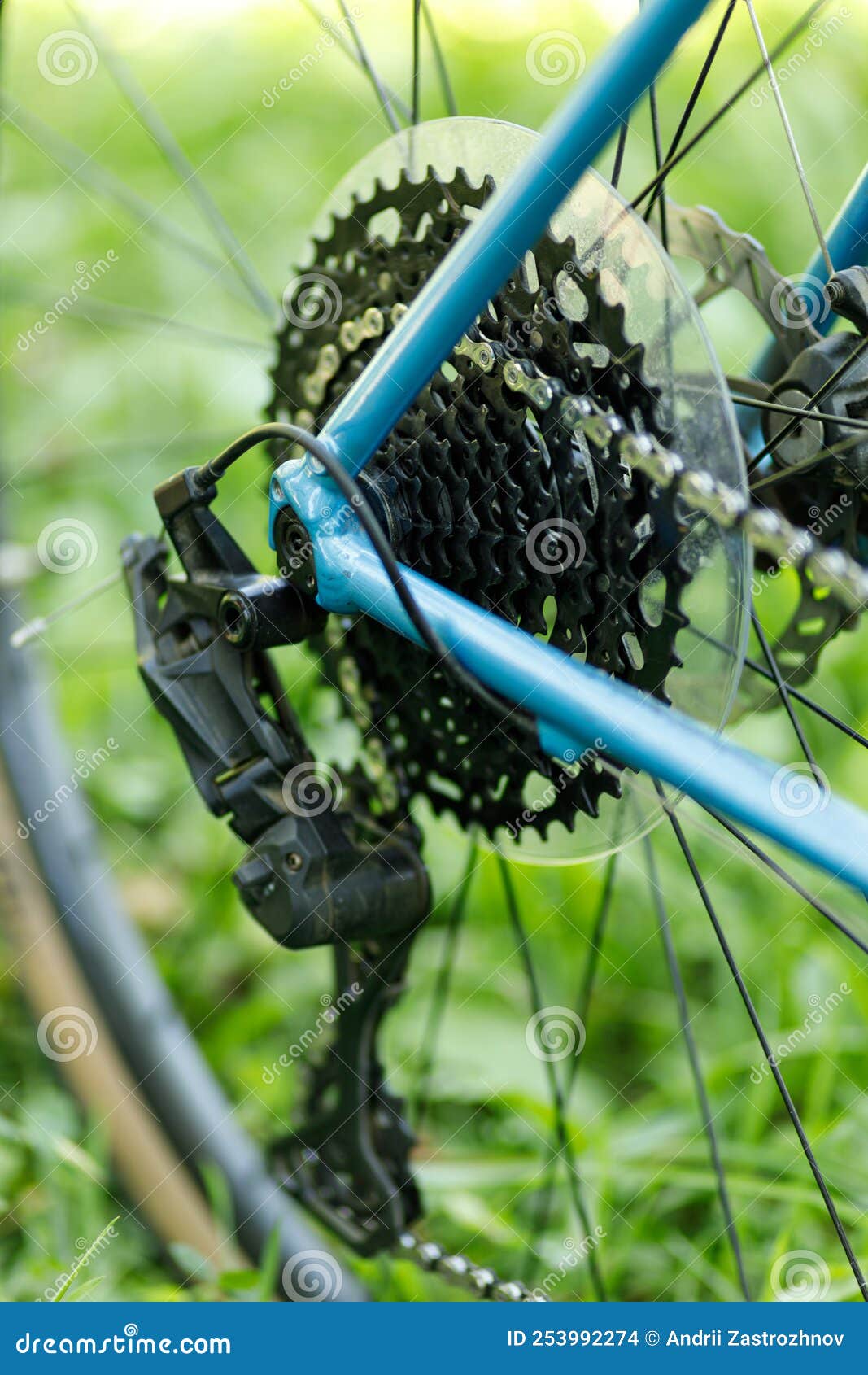 Bicycle Transmission, Selective Focus. Maintenance of a Wheeled Bike