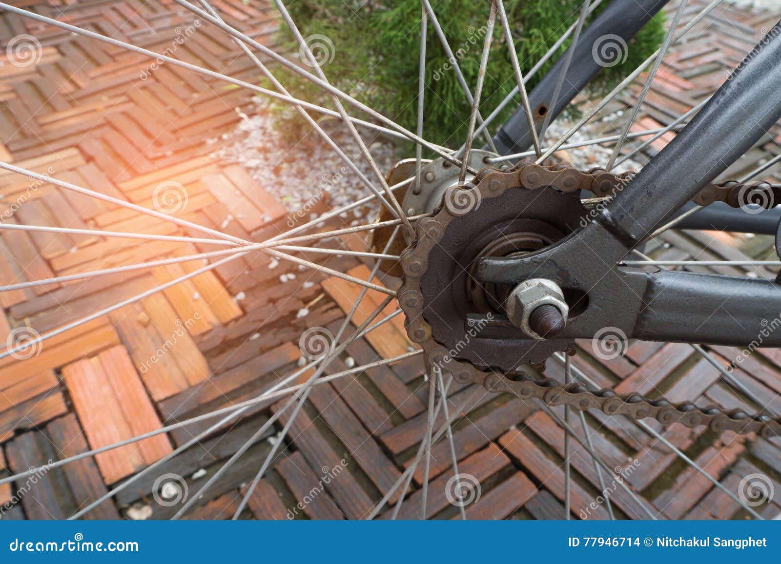 Bicycle Wheel on Brick Flooring. Stock Photo Image of shackle