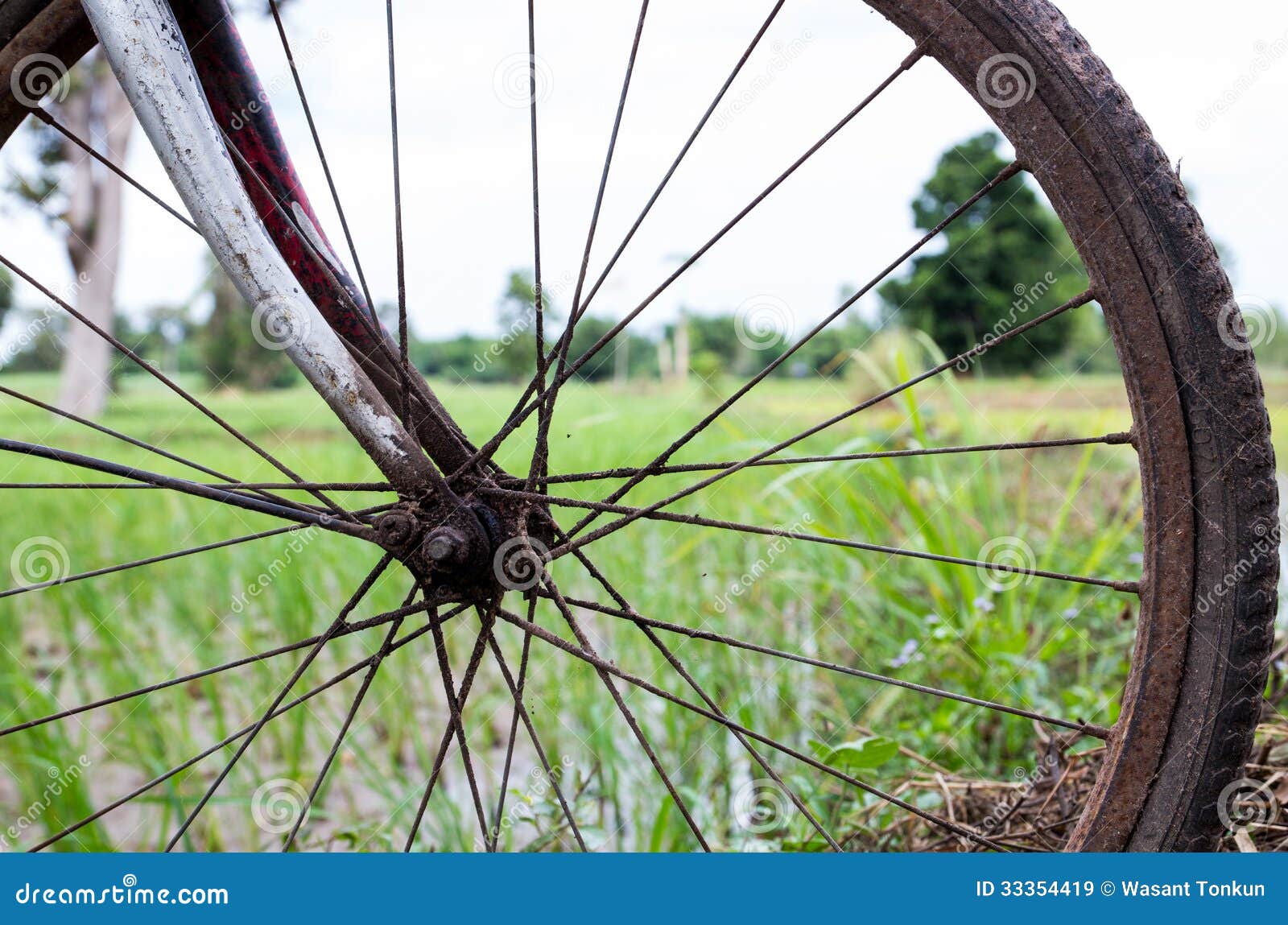 old bike wheel