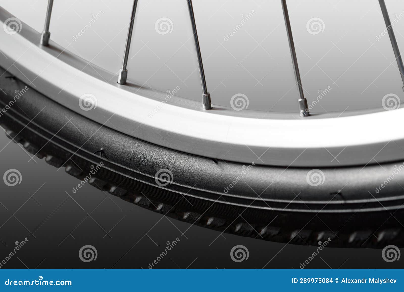 Bicycle wheel front stock photo. Image of biking, radial 289975084
