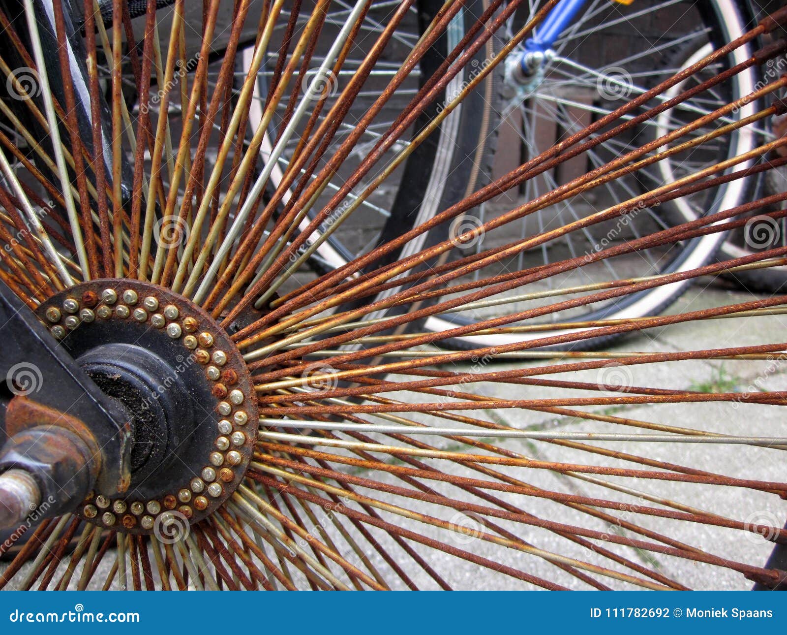 A Bicycle Wheel with Rusty Spokes Stock Photo Image of wheel, bike