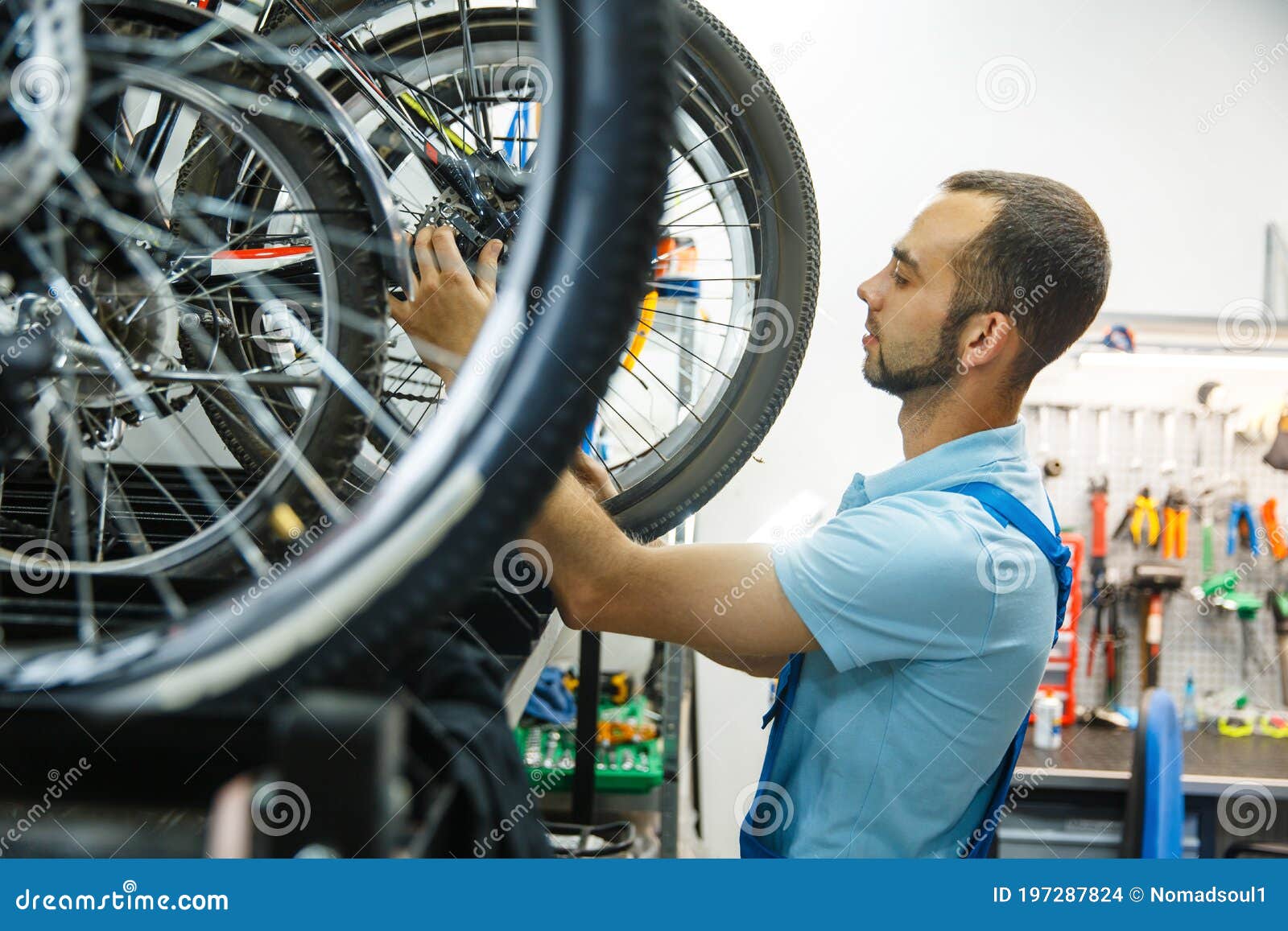 Bicycle Man Finished Assembling Stock Photo Image of repair