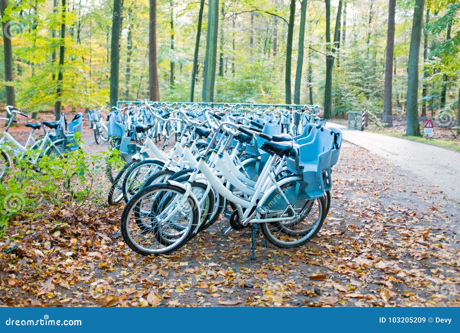 bicycles in the forest at the hoge veluwe netherlands