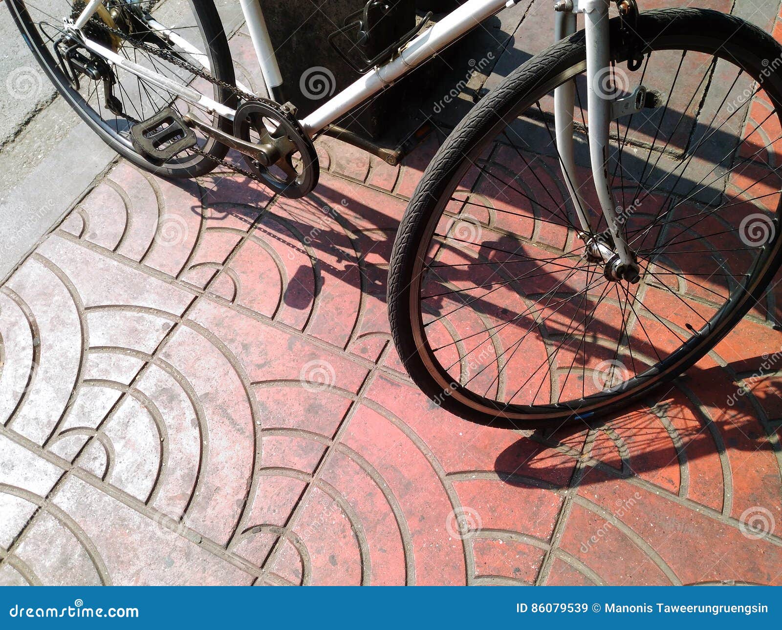 Bicycles Leaning Against Electric Pole in Hard Day Light Stock Image
