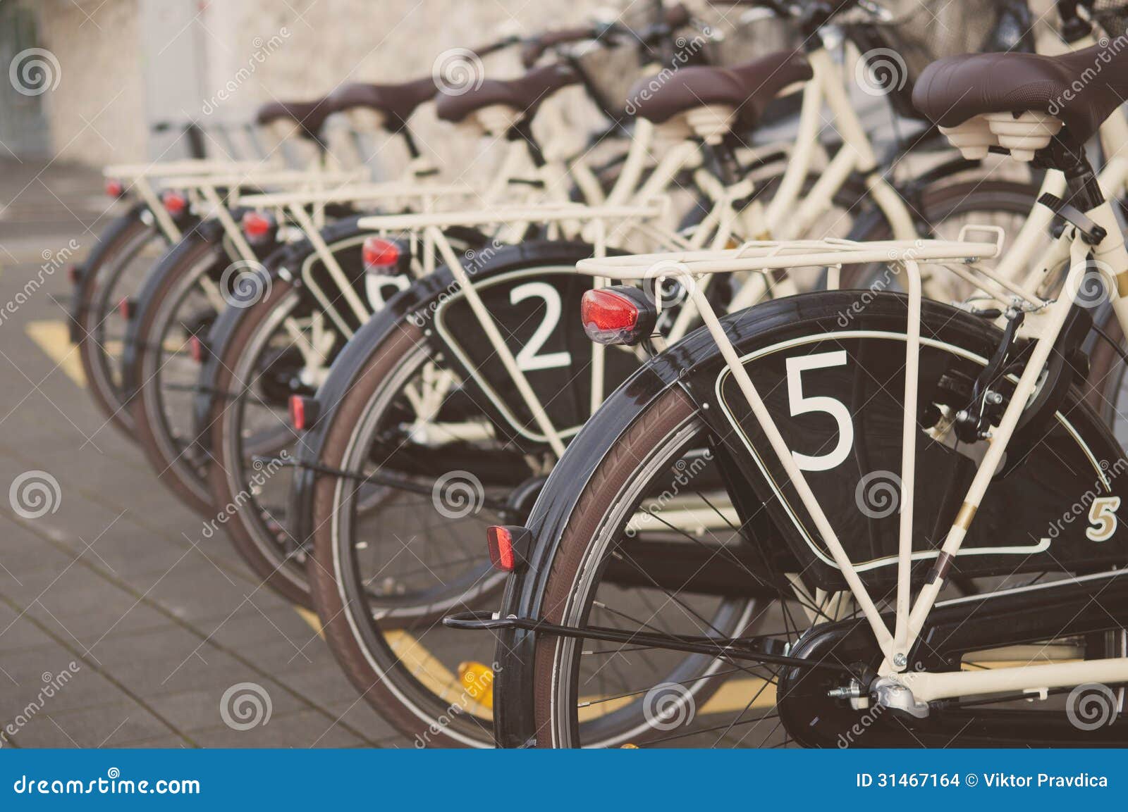 Bicycles for rent stock photo. Image of urban, bike, road 31467164